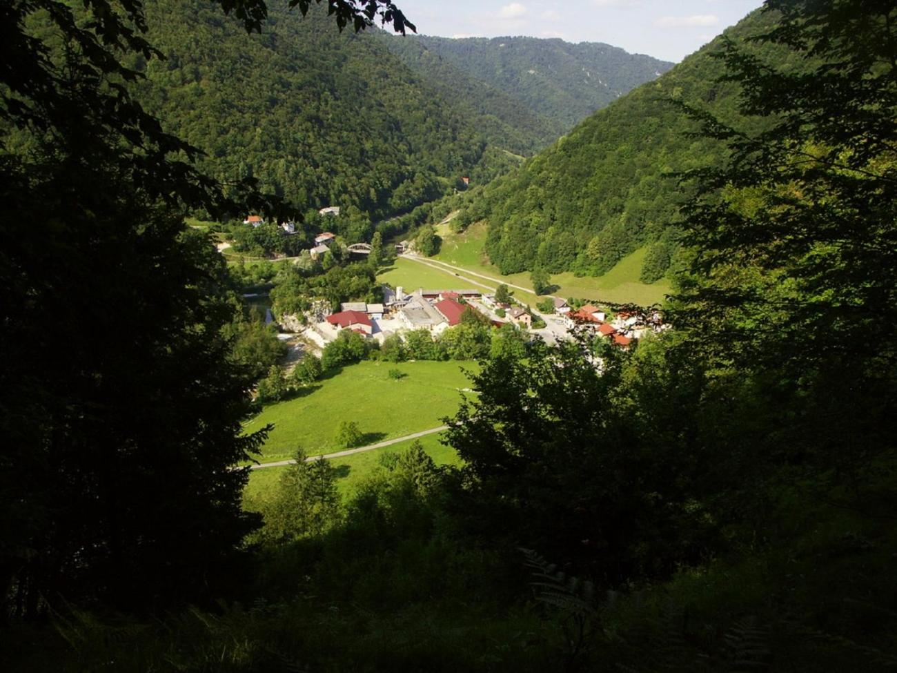 Photo 6