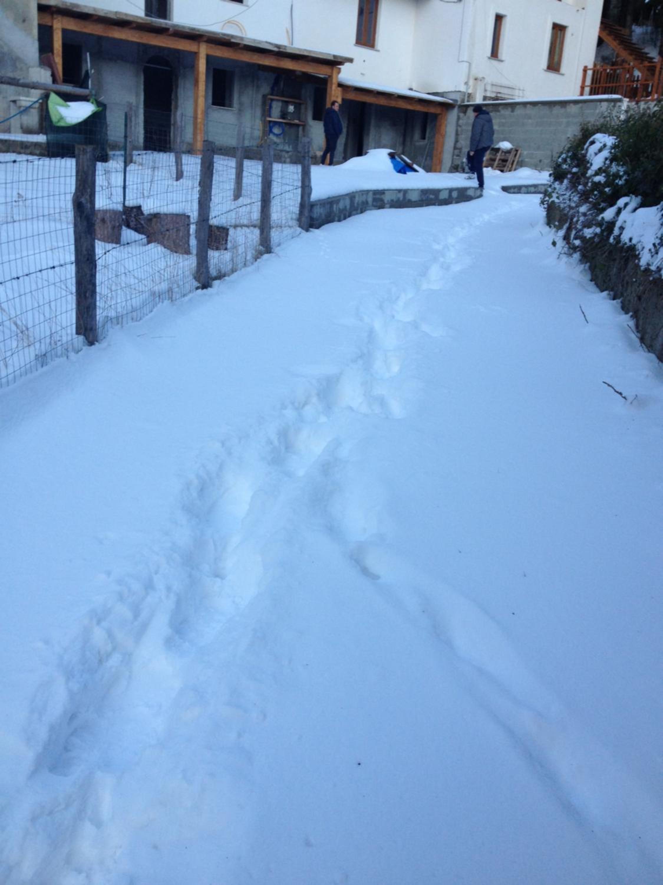 Photo 13