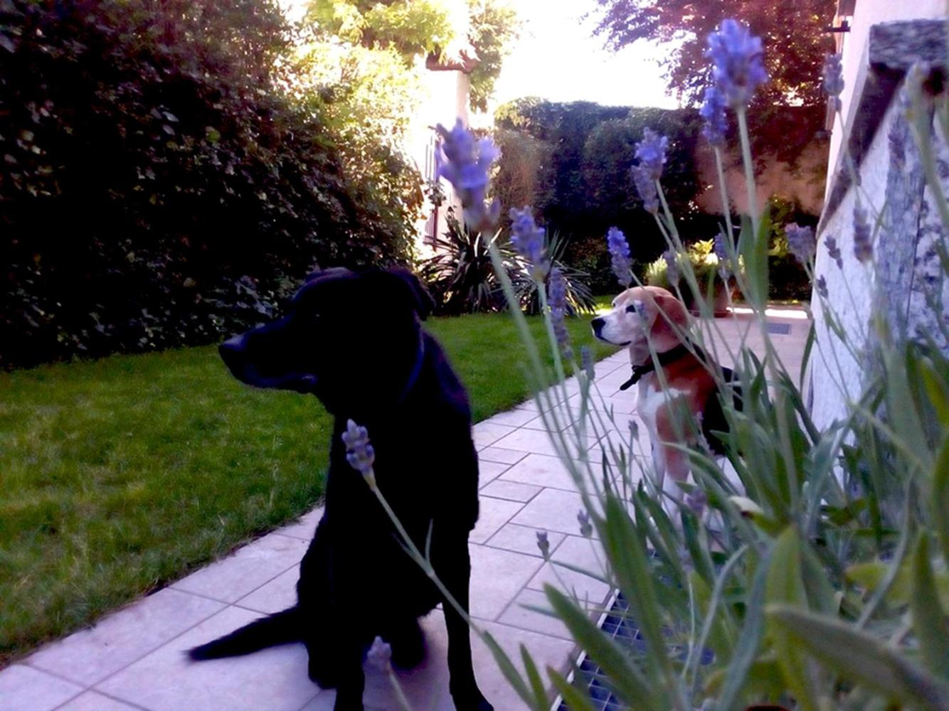 Photo 25