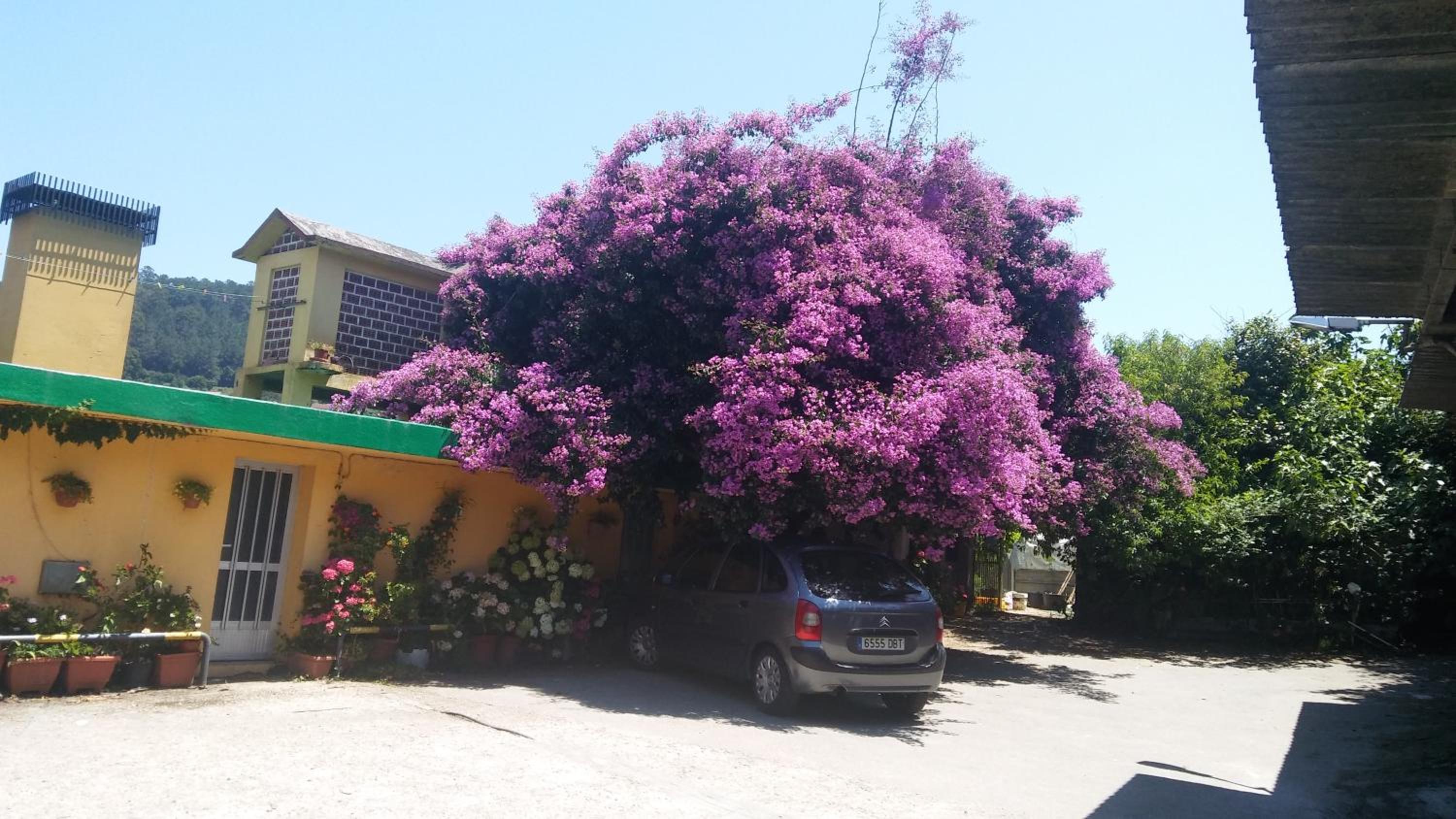 Albergue O Corisco photo 5
