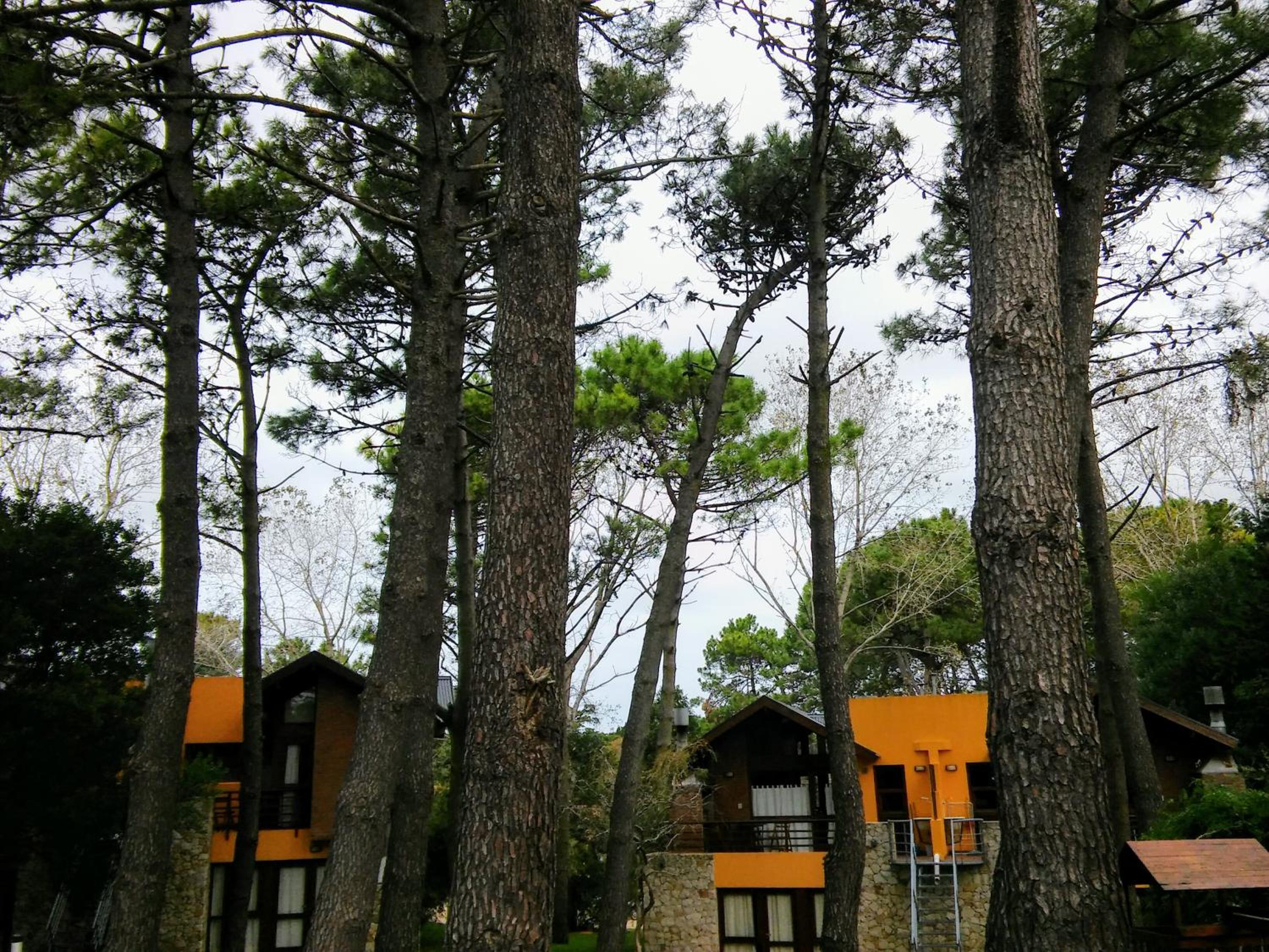 Cabañas Entreverdes