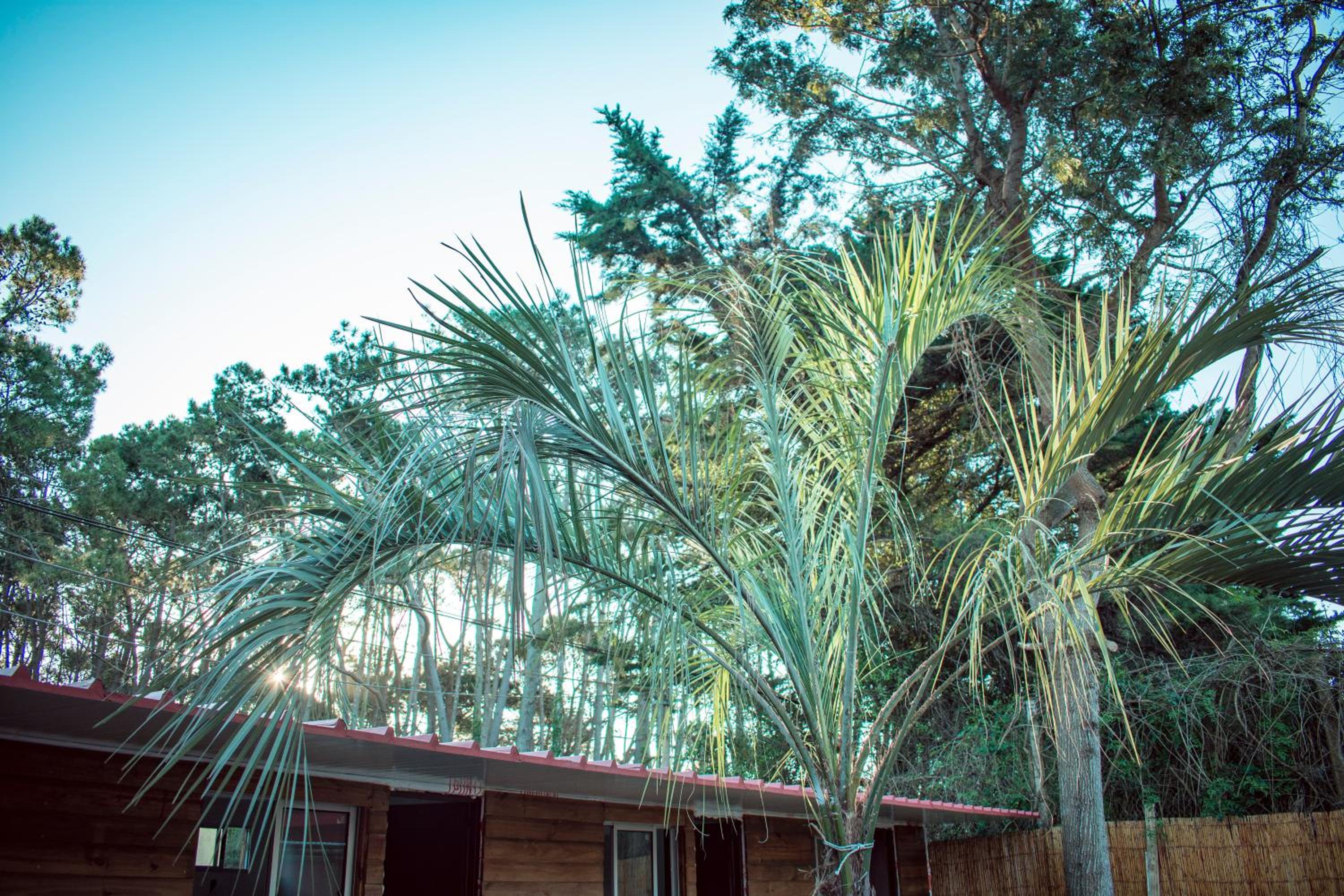 RocaMar Hostel Boutique