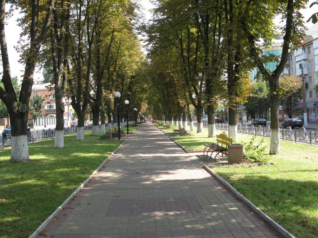Неймовірно затишна студія у центрі міста біля лікарні імені Пирогова тепло та тепла вода постійно view 3