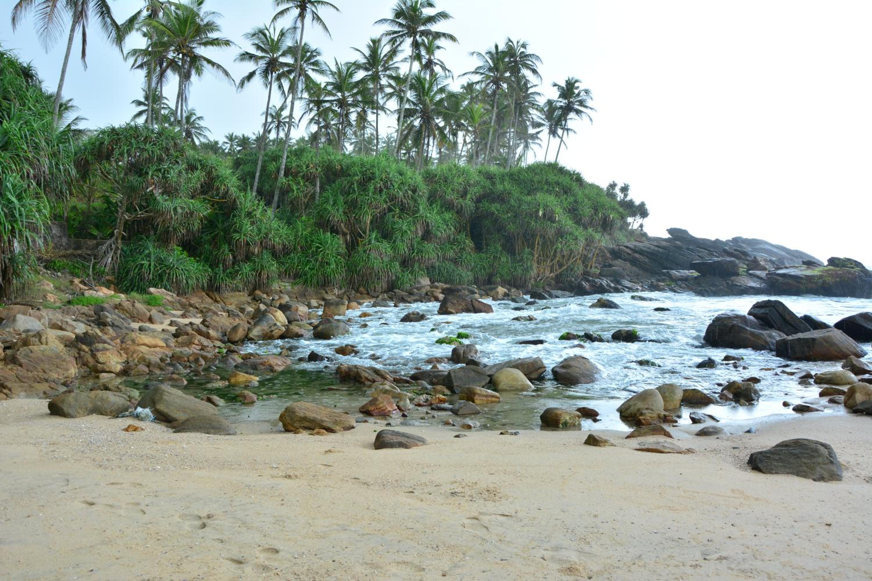 Photo 41