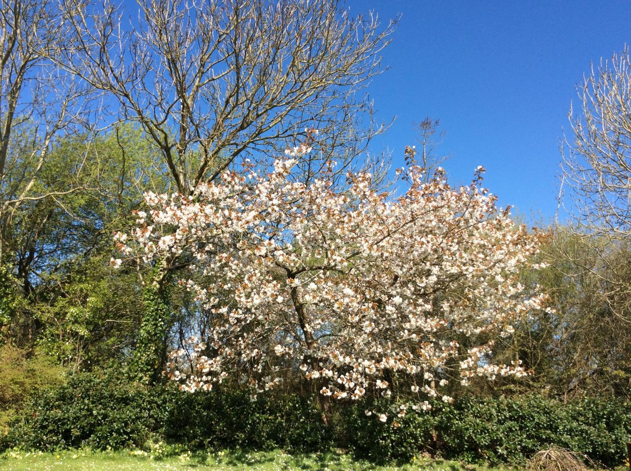 Photo 17