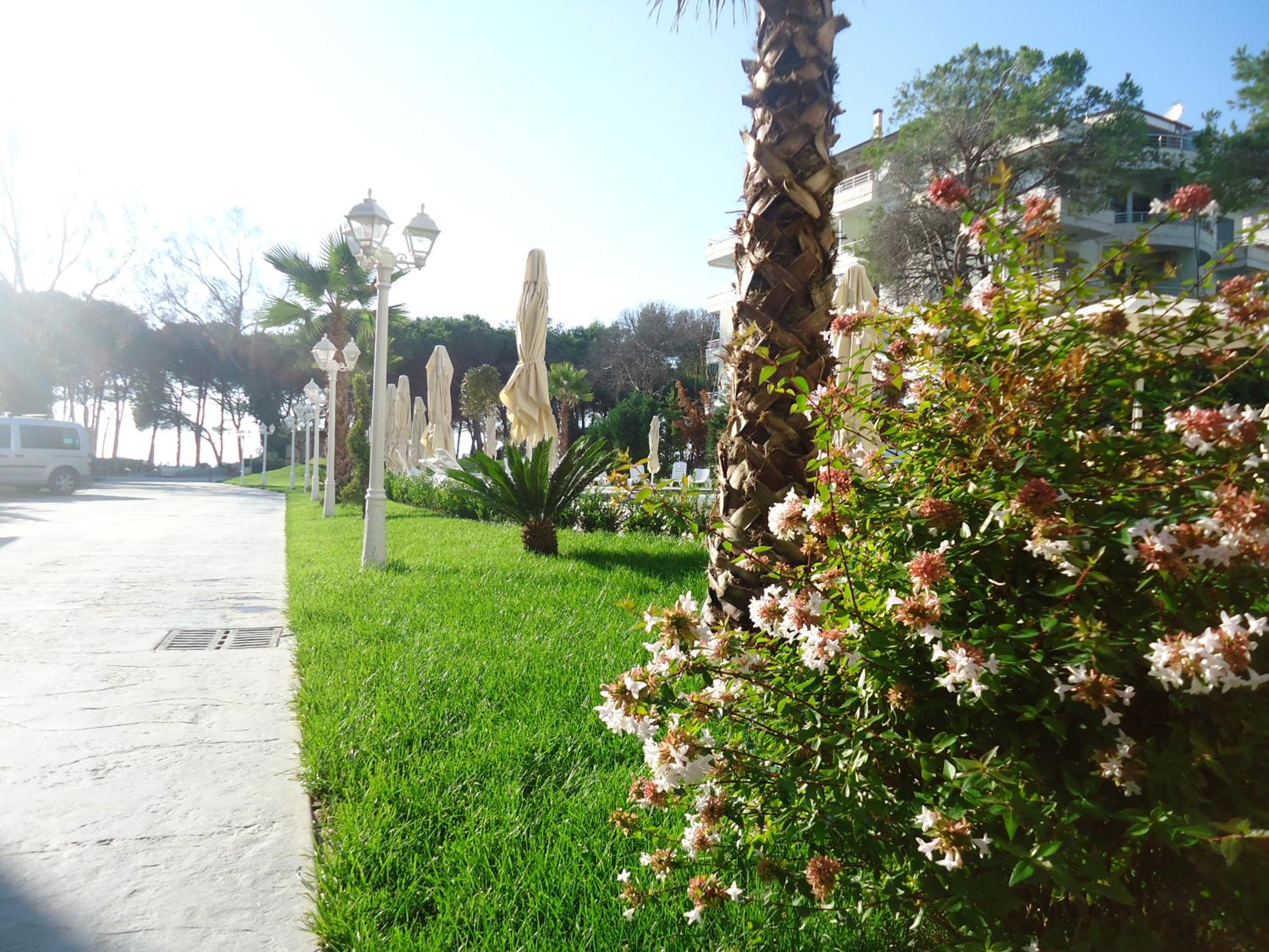 Sandy Beach Resort