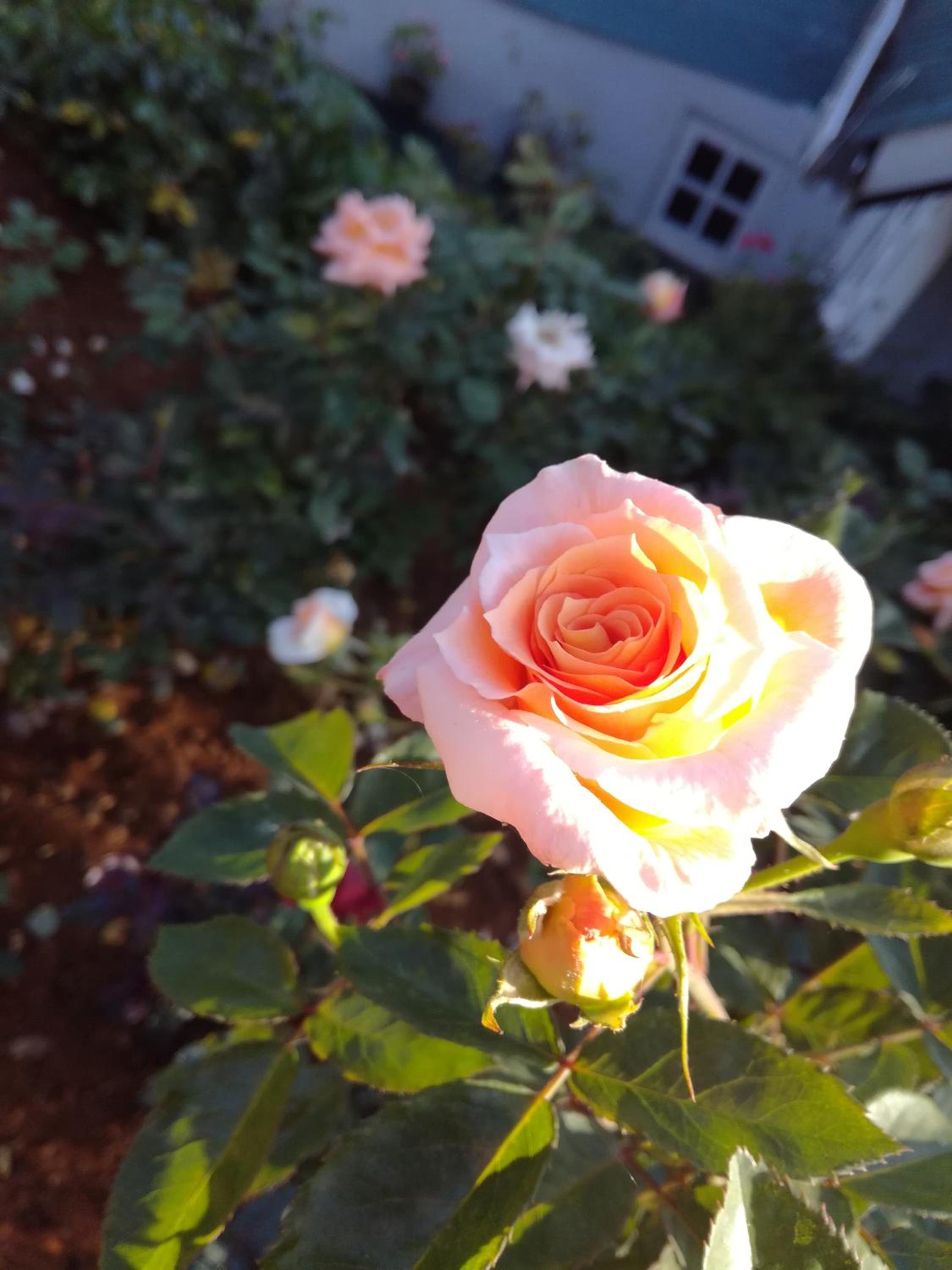 Photo 13