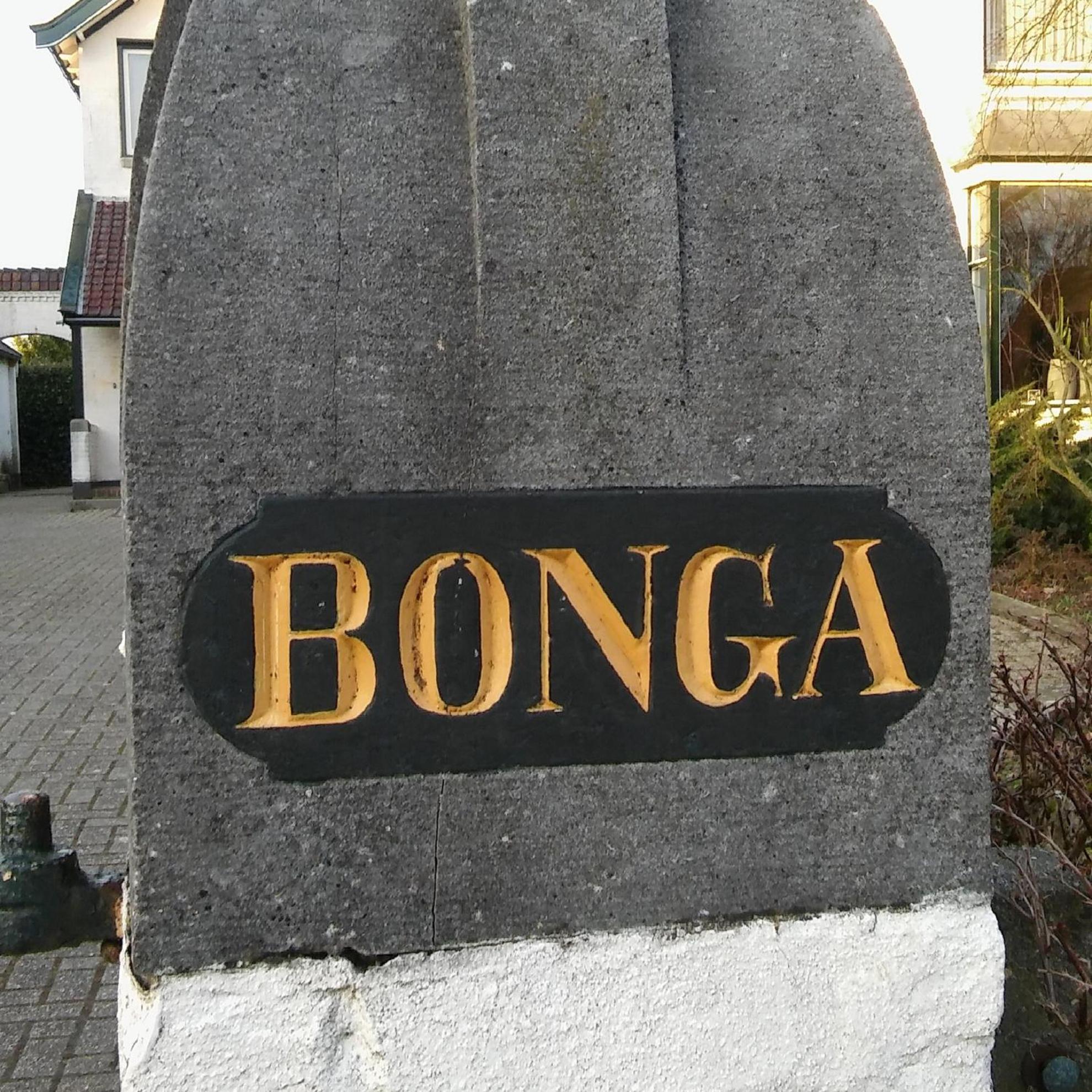 Logement Nij Bonga Holwerd
