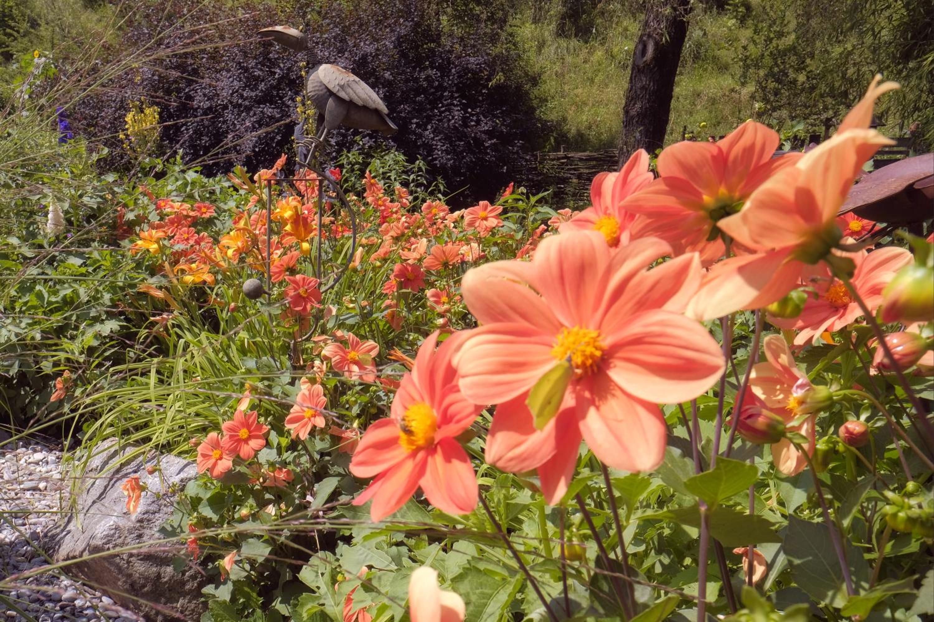 Pension Aloisia
