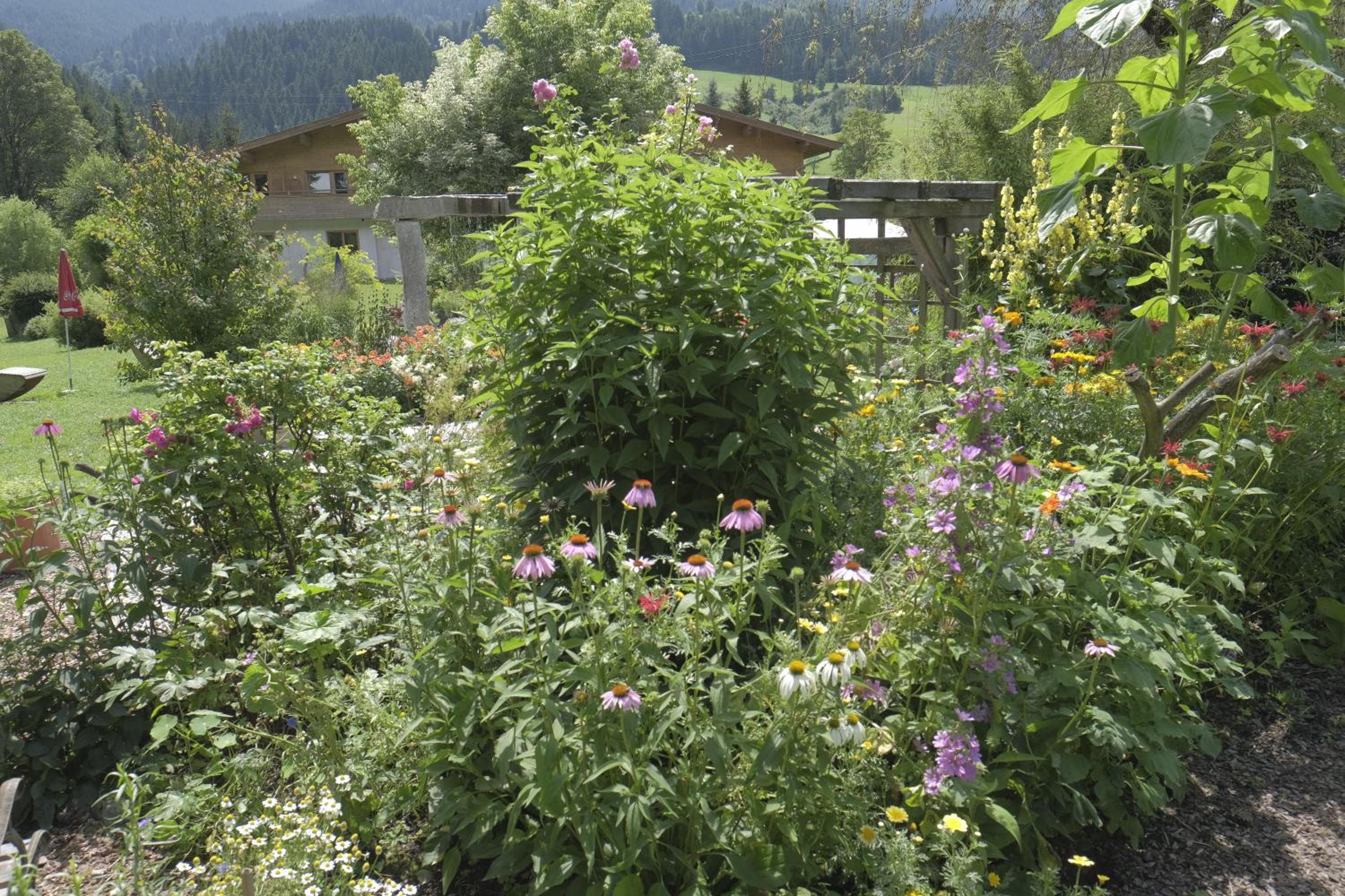 Pension Aloisia