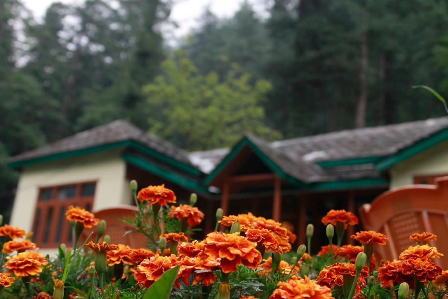 Parvati Kuteer riverside resort