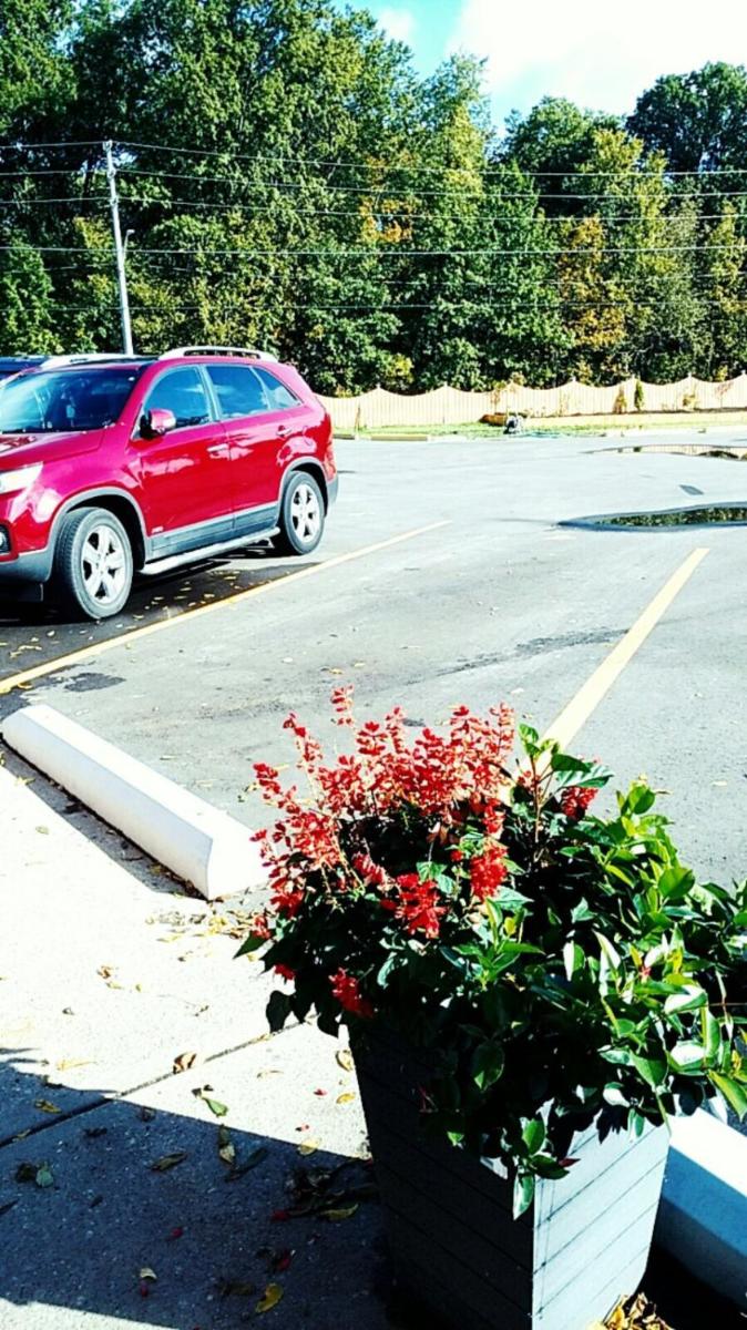 Windsor Vacations - Leisure Motel - Property Image 1