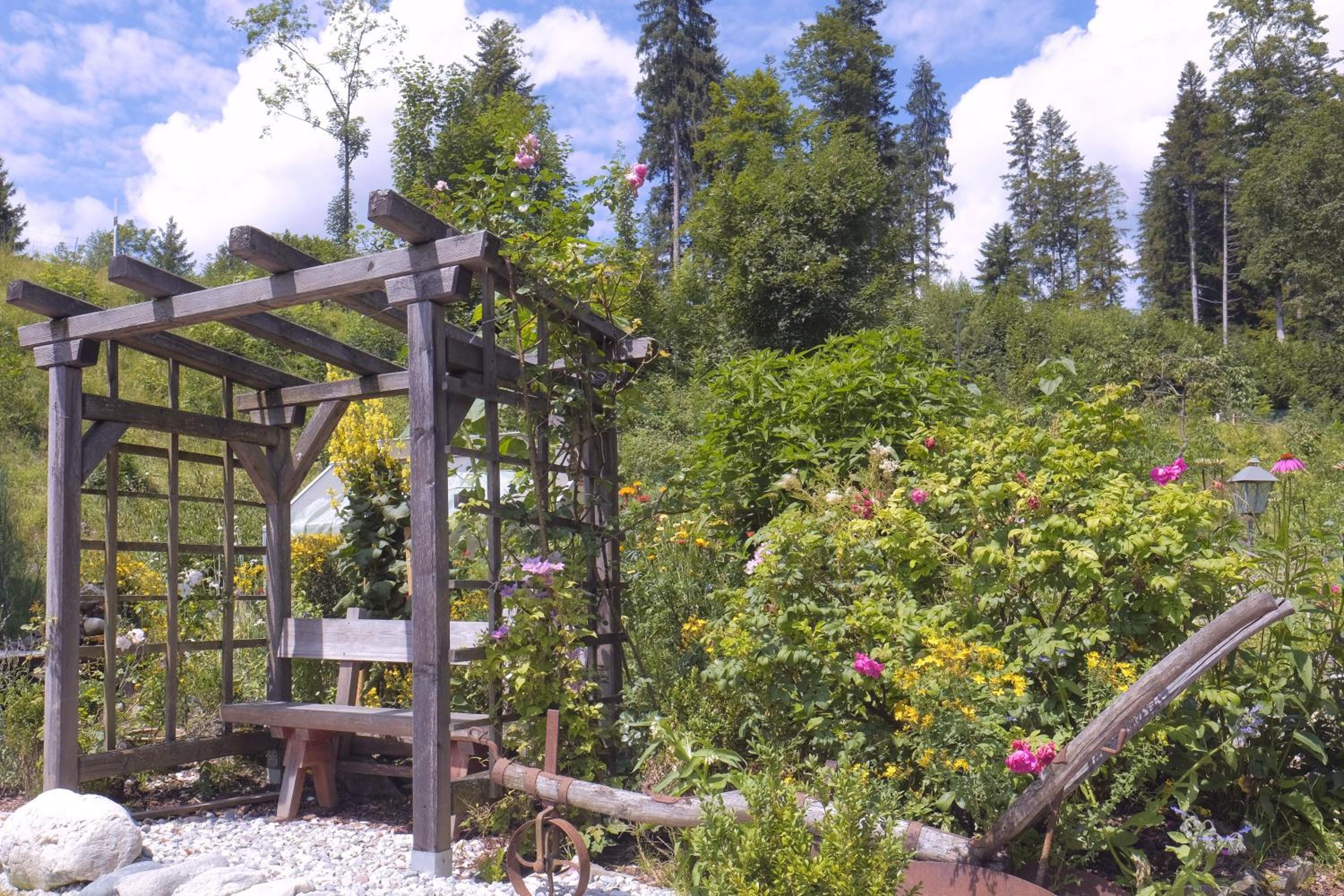Pension Aloisia