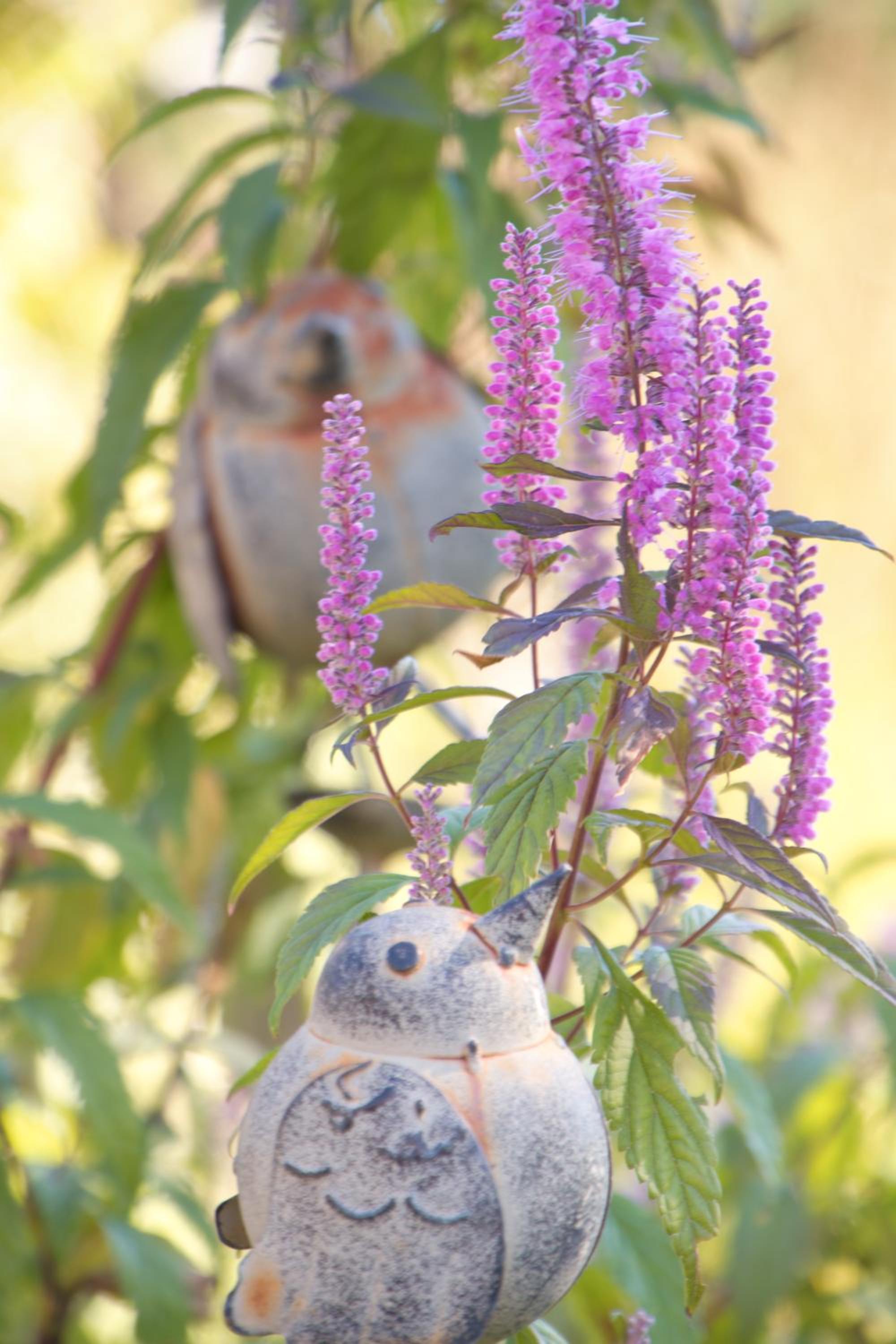 Pension Aloisia