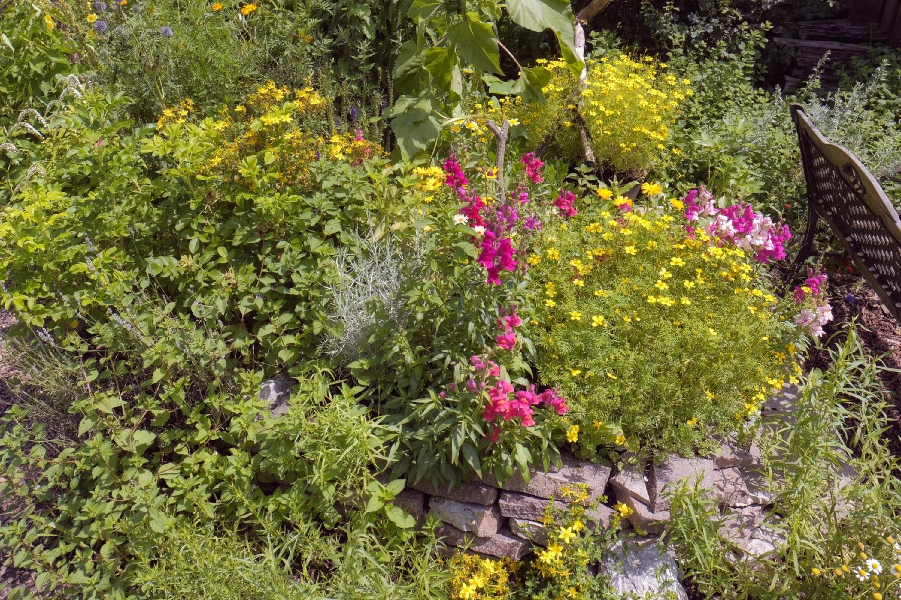 Pension Aloisia
