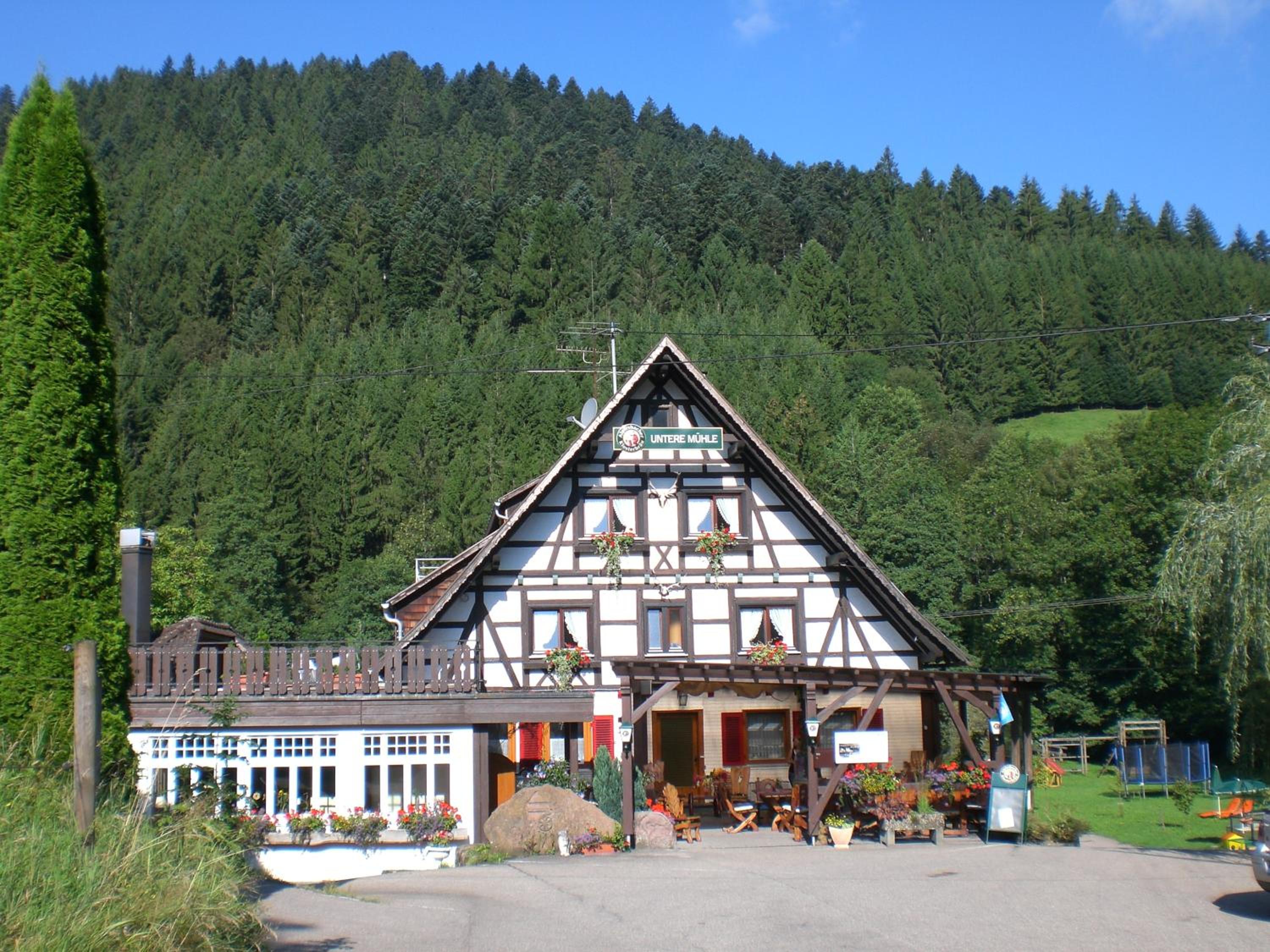 Hotel Landgasthof Untere Mühle - Image 1