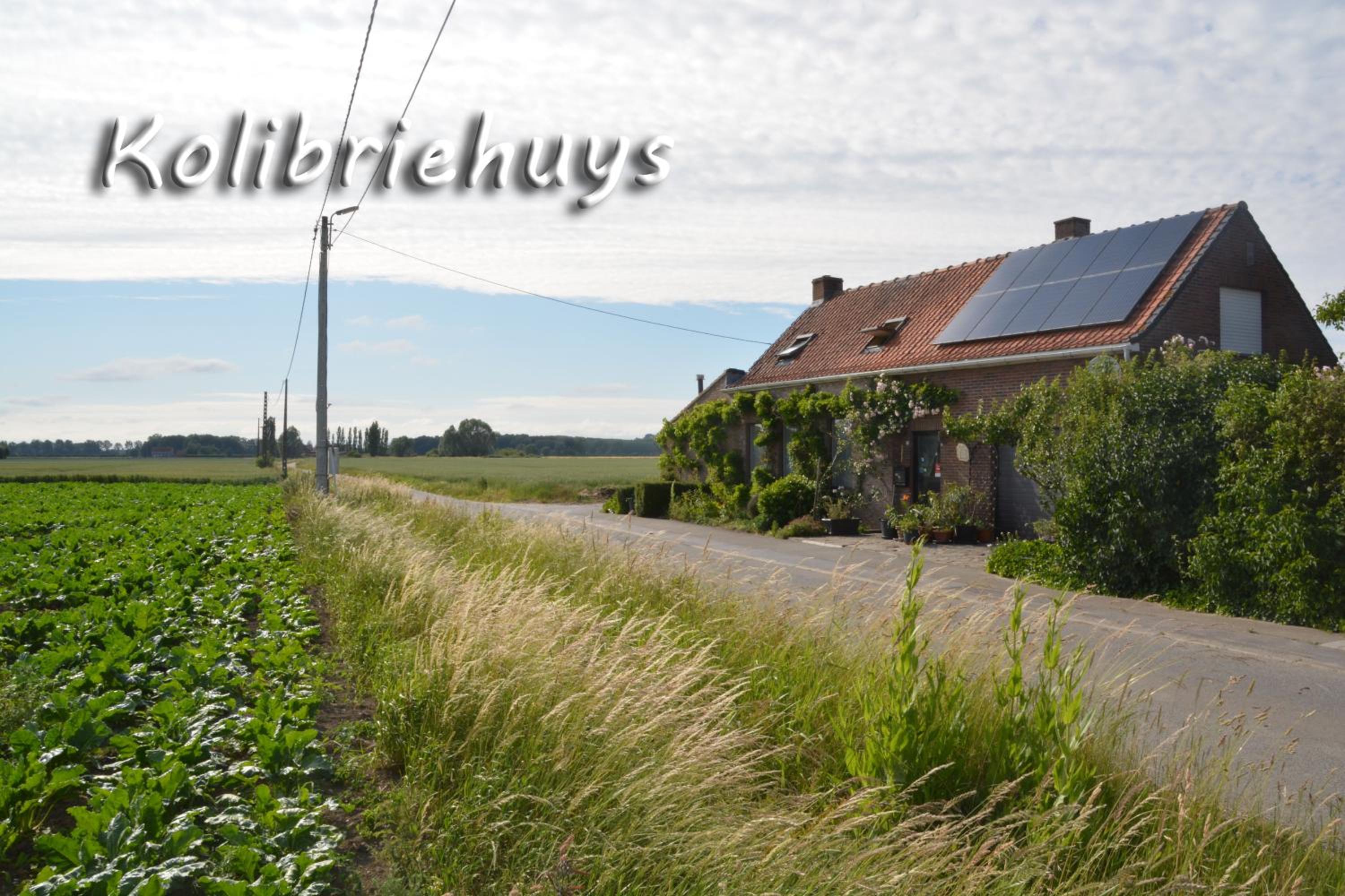 Guesthouse Kolibriehuys
