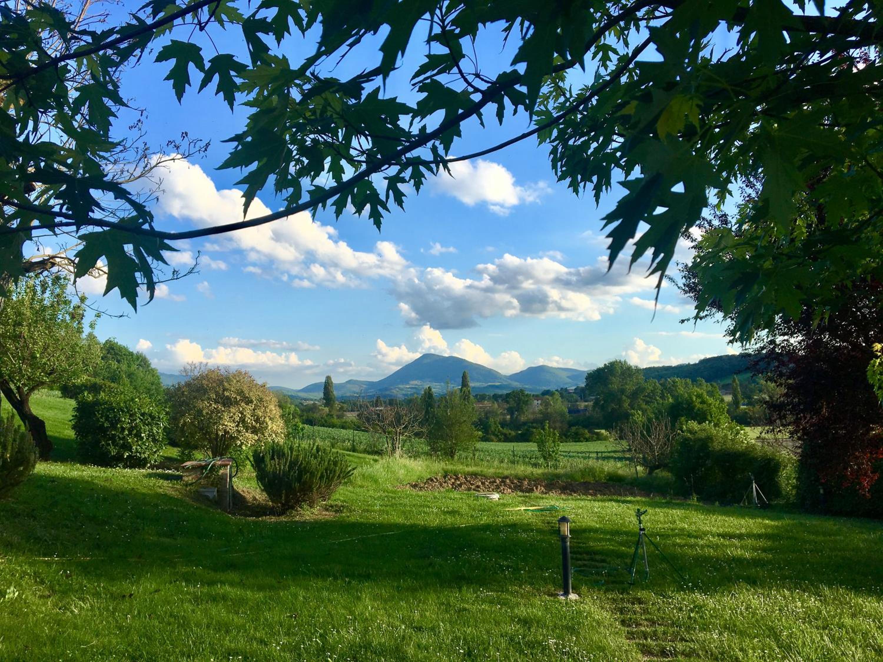 Agricola Caicucci view 4