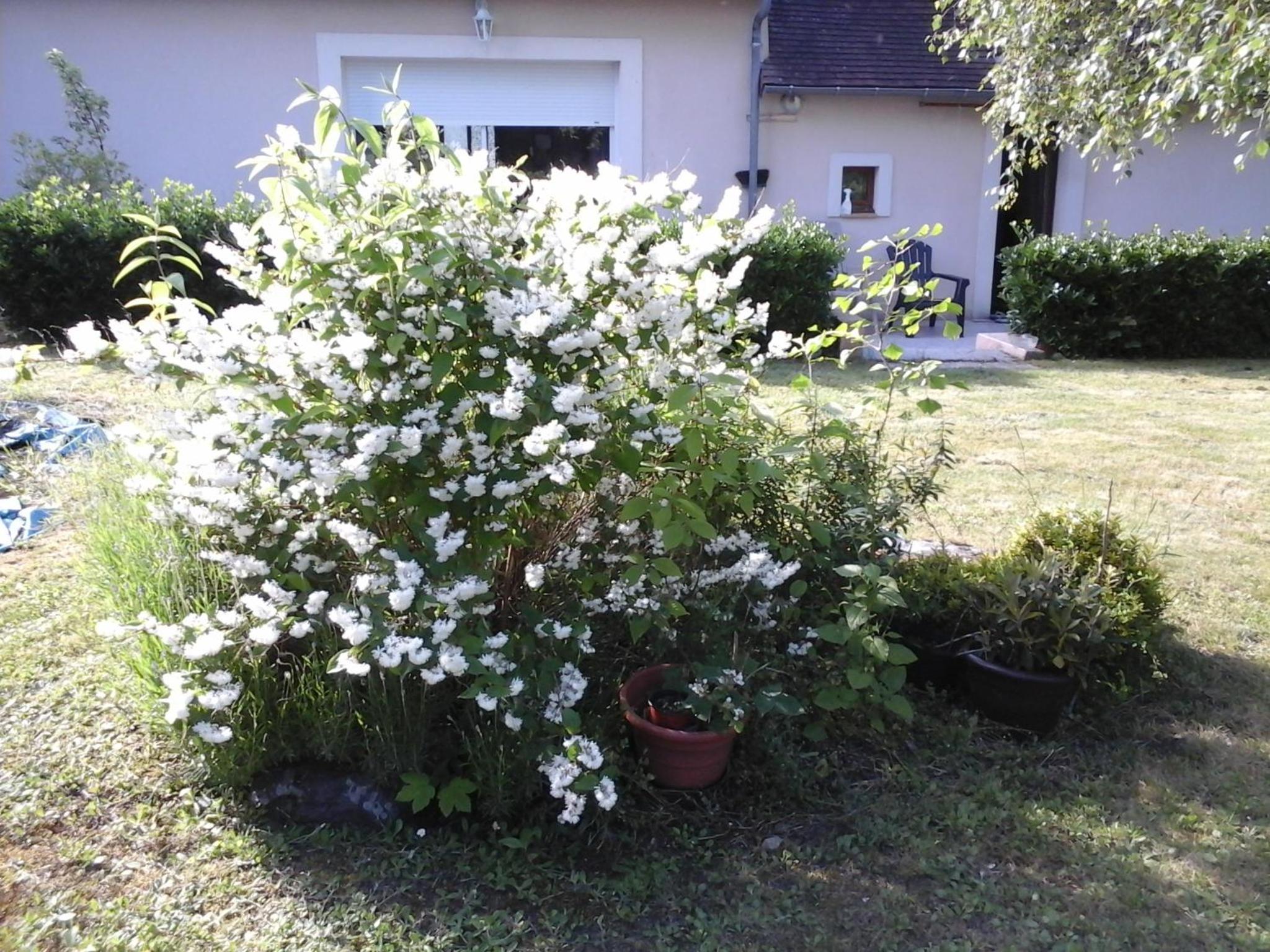 Valérie GOUFFÉ view 3