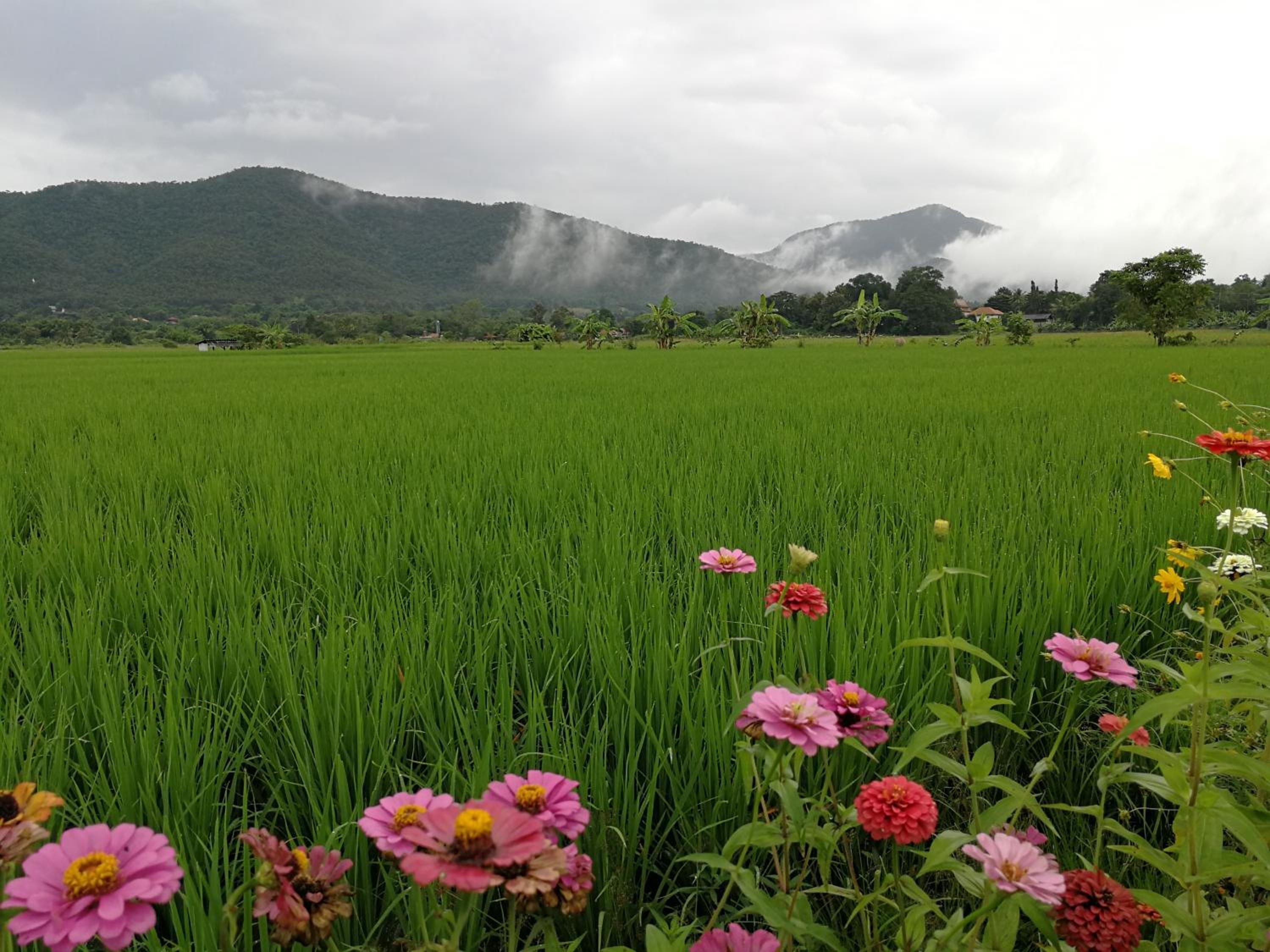 Santitham Home Farm Stay view 2