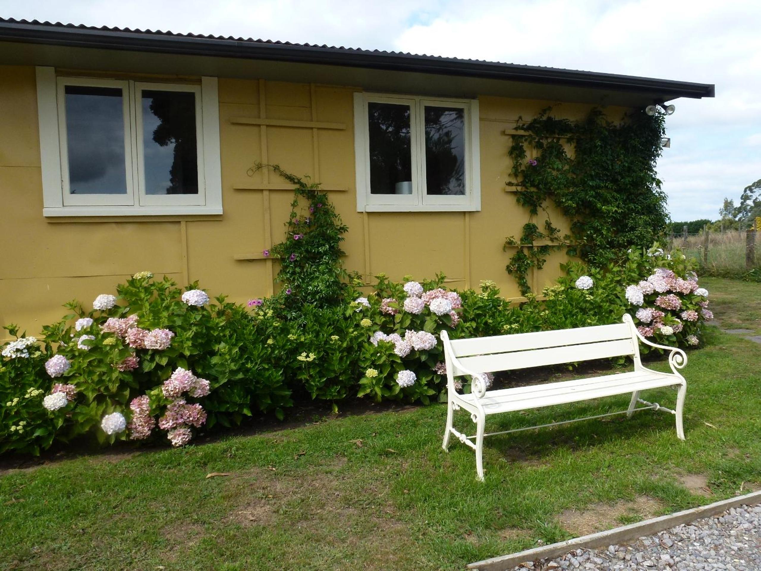 Hotel B&B Blossom Cottage