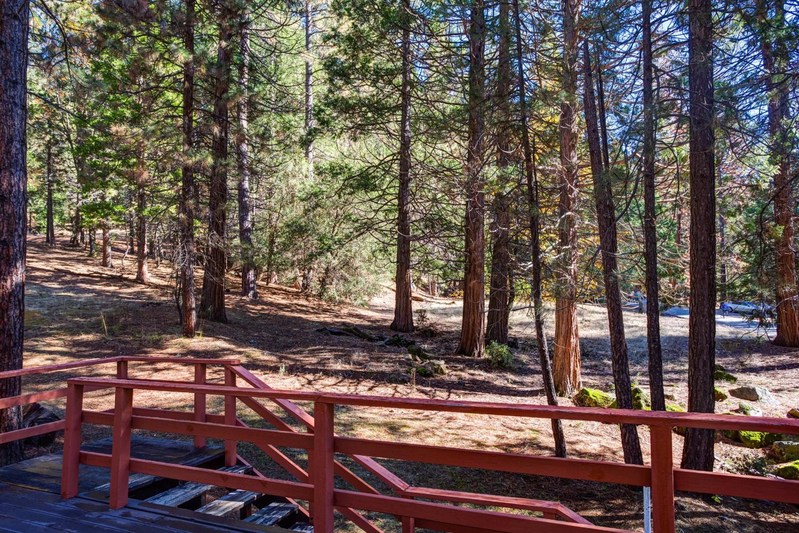 9B Deer Hollow view 2
