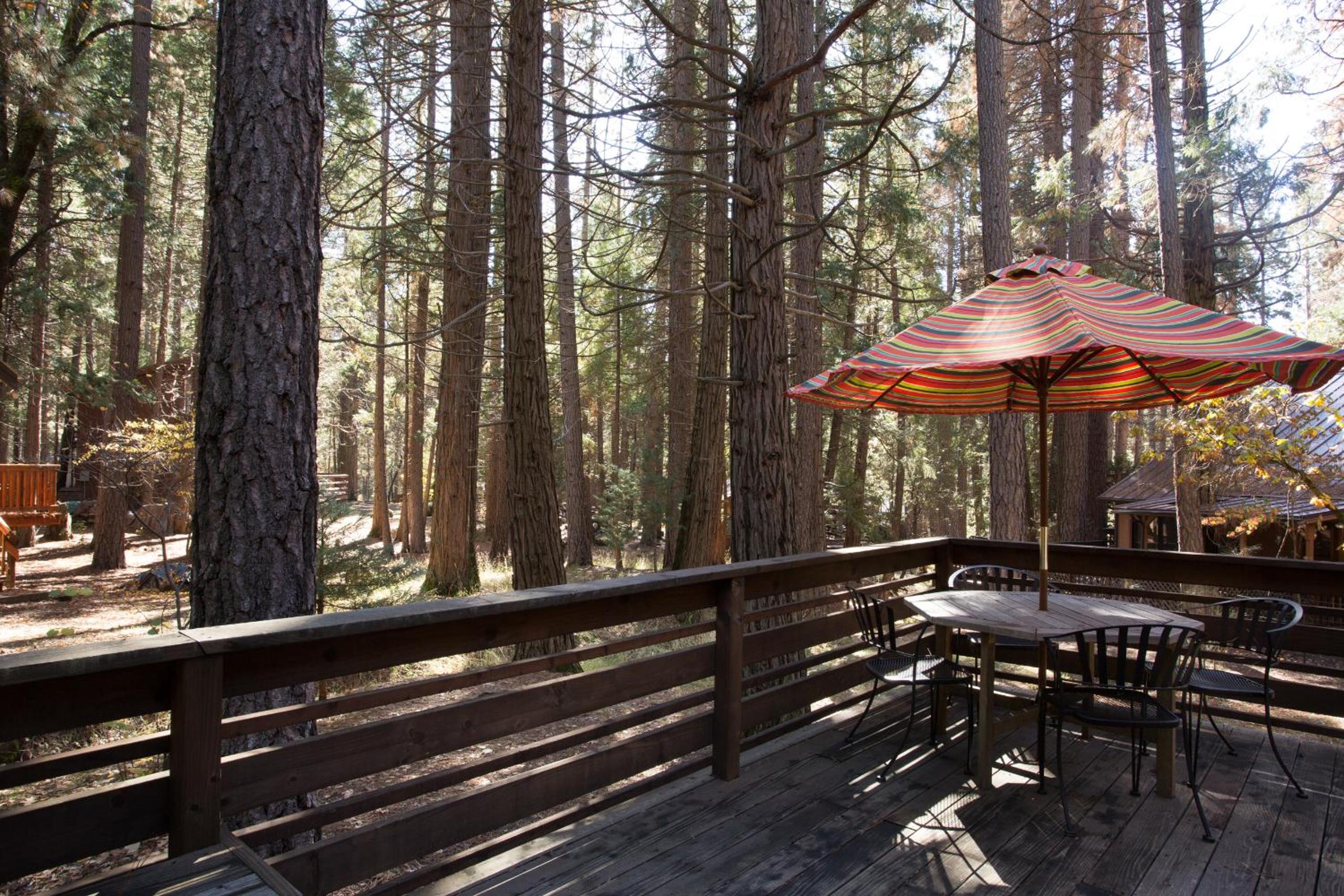 53 Creekside Cabin view 5