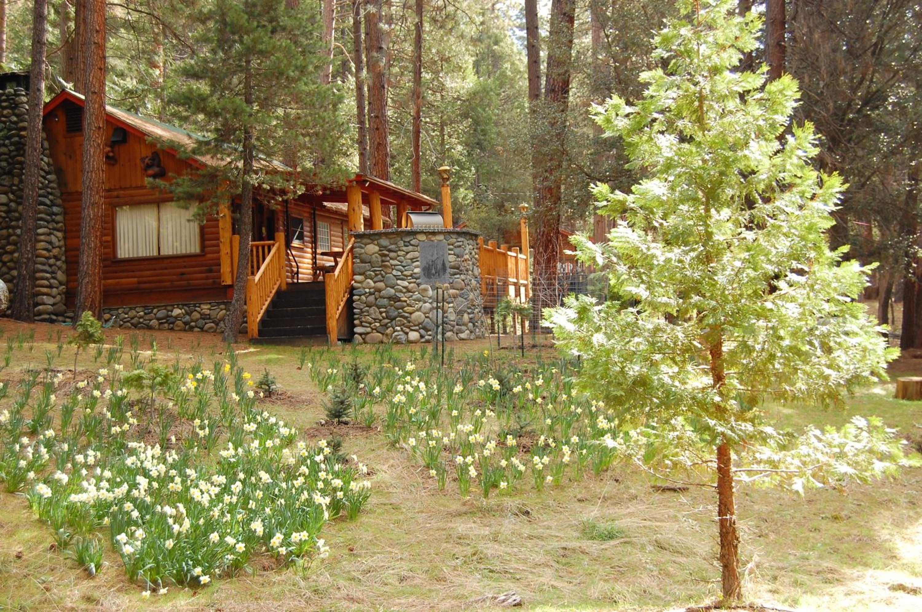 Photo 18