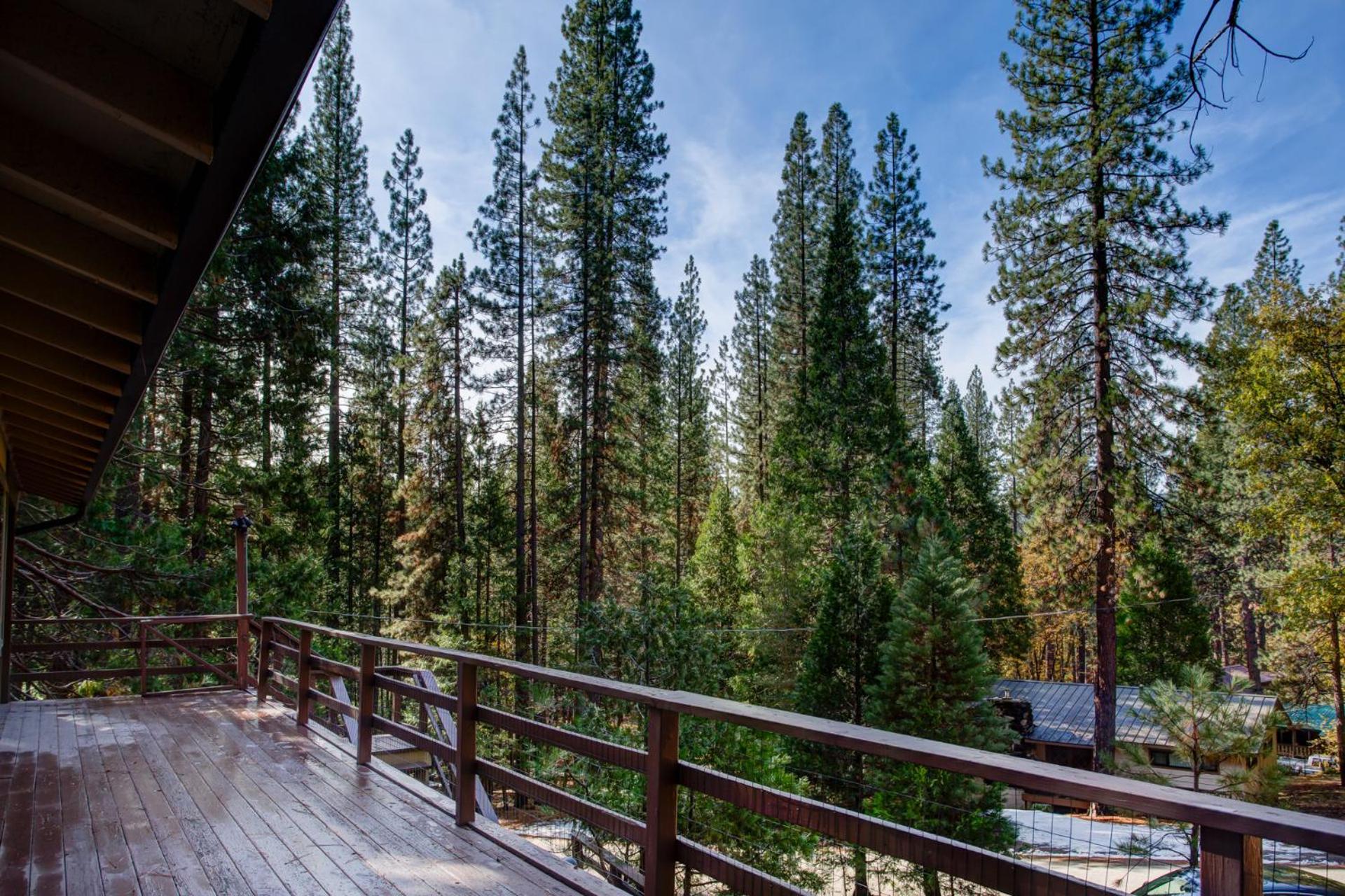 11B Sequoia House view 3