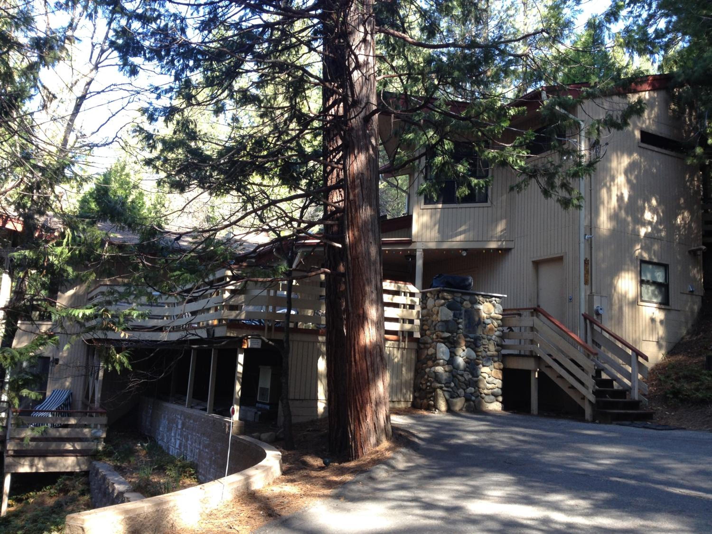 18A Pohono Pines view 2