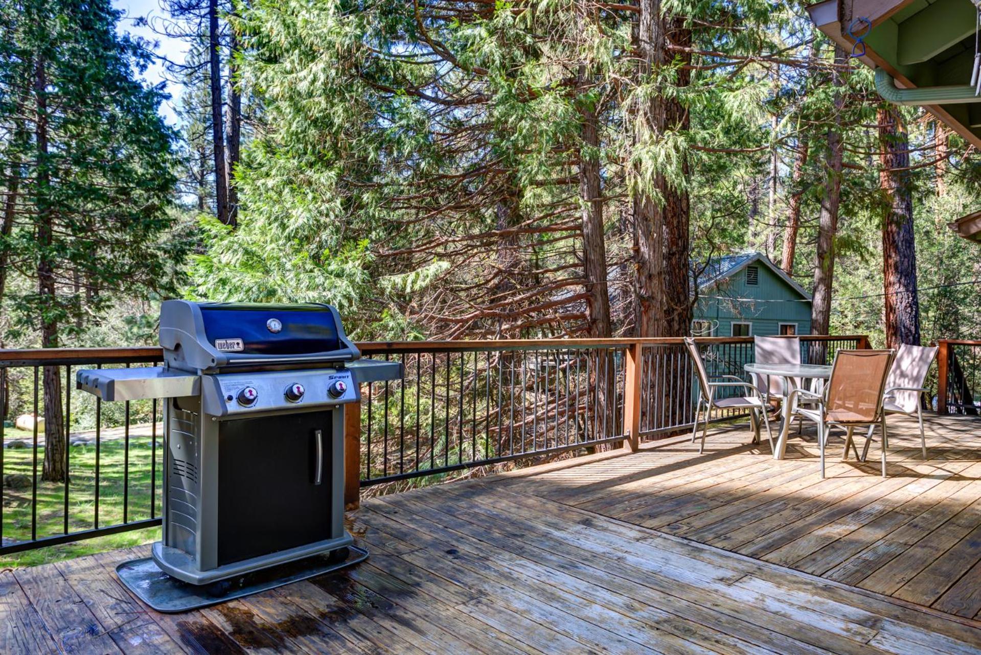 40 Coyles Cabin view 4