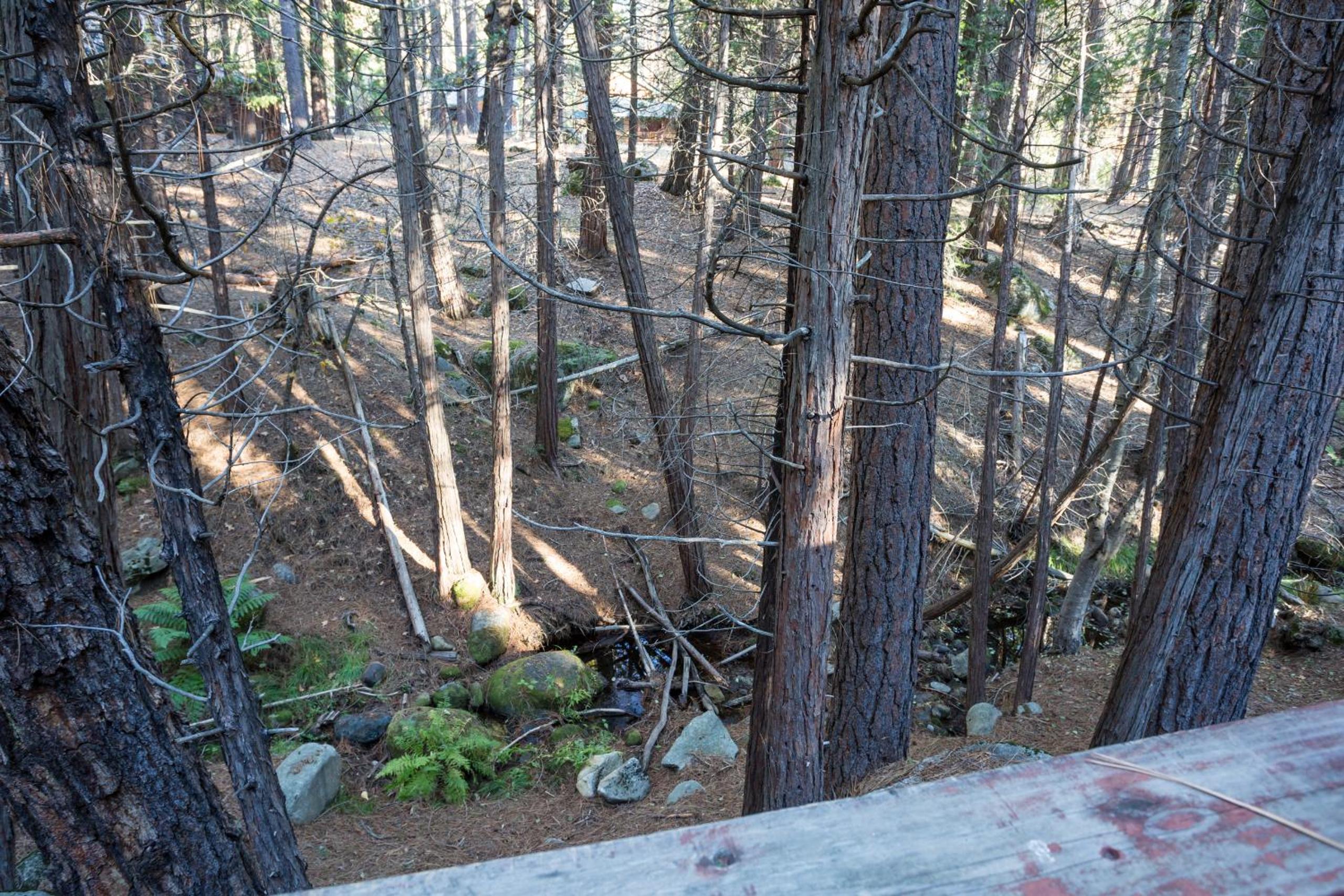 4 Pine Creek Cabin view 4
