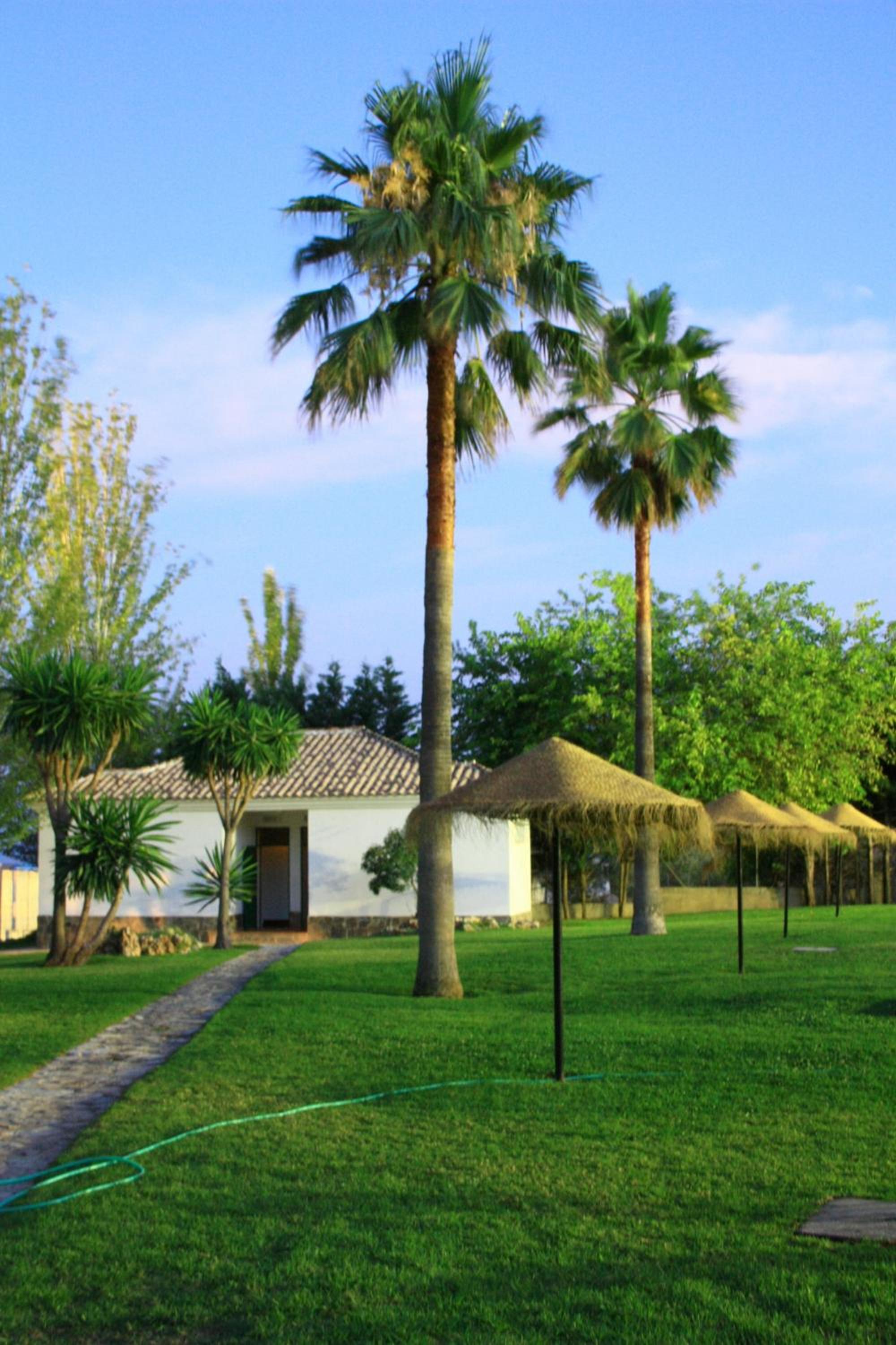 Camping Sierra de las Nieves