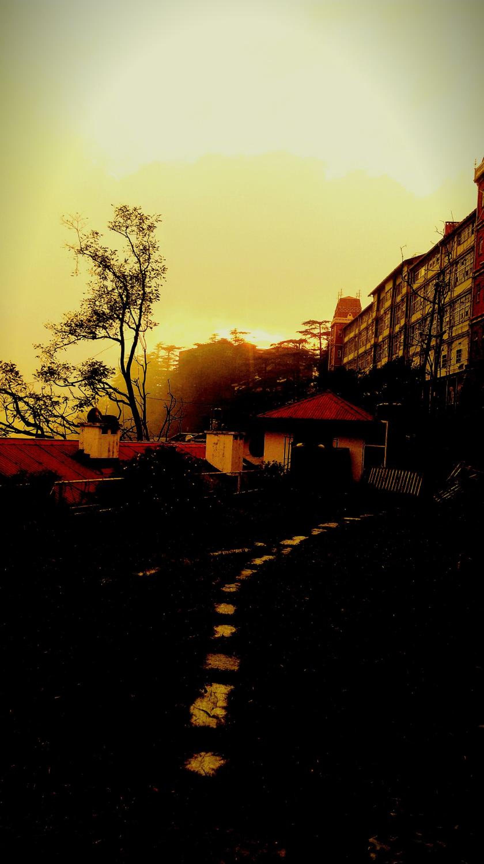 Photo 44