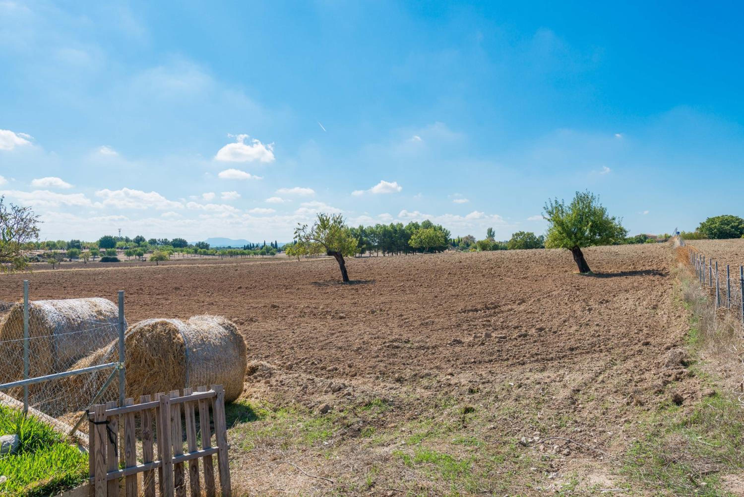 Granja