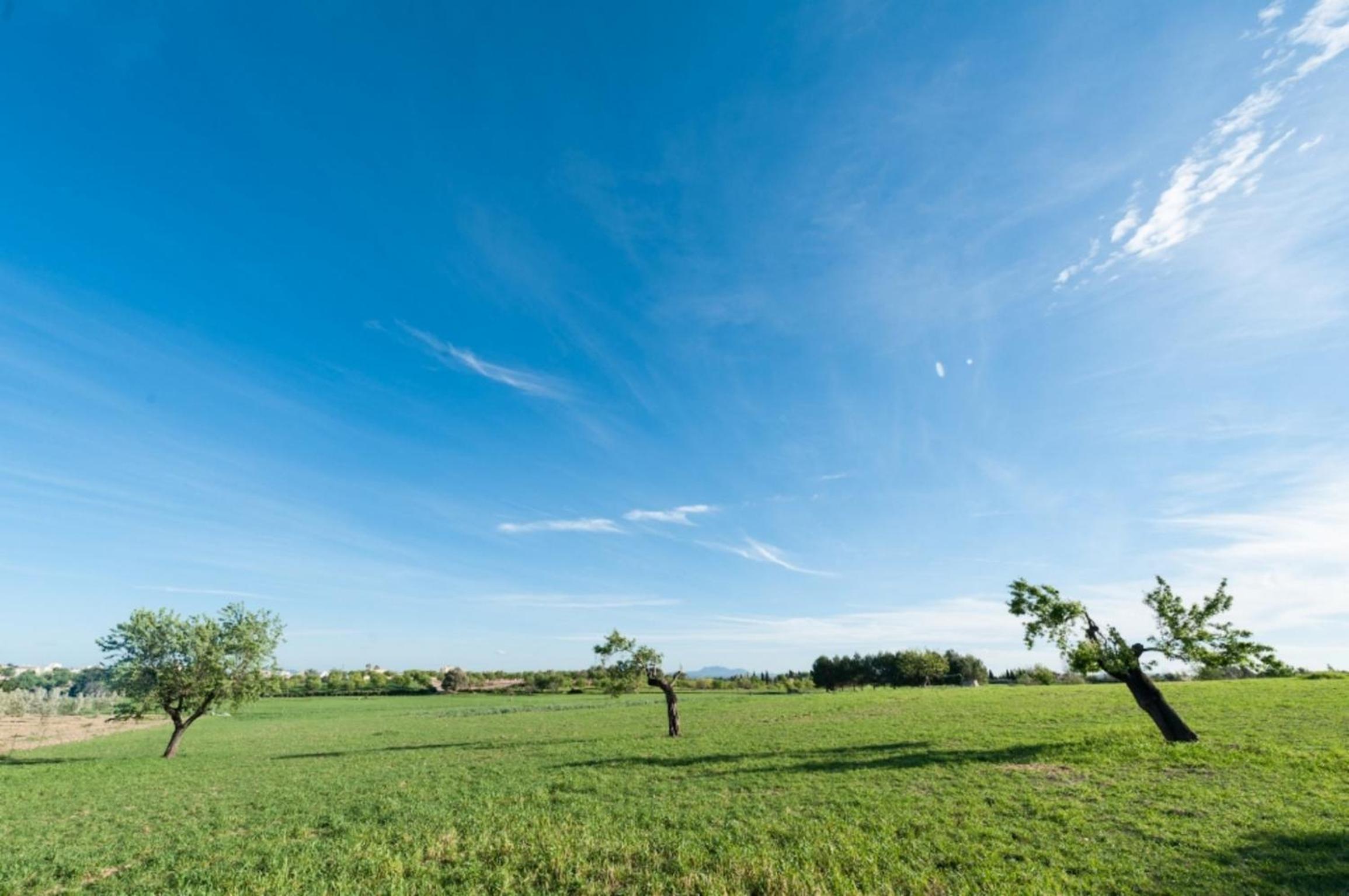 Granja
