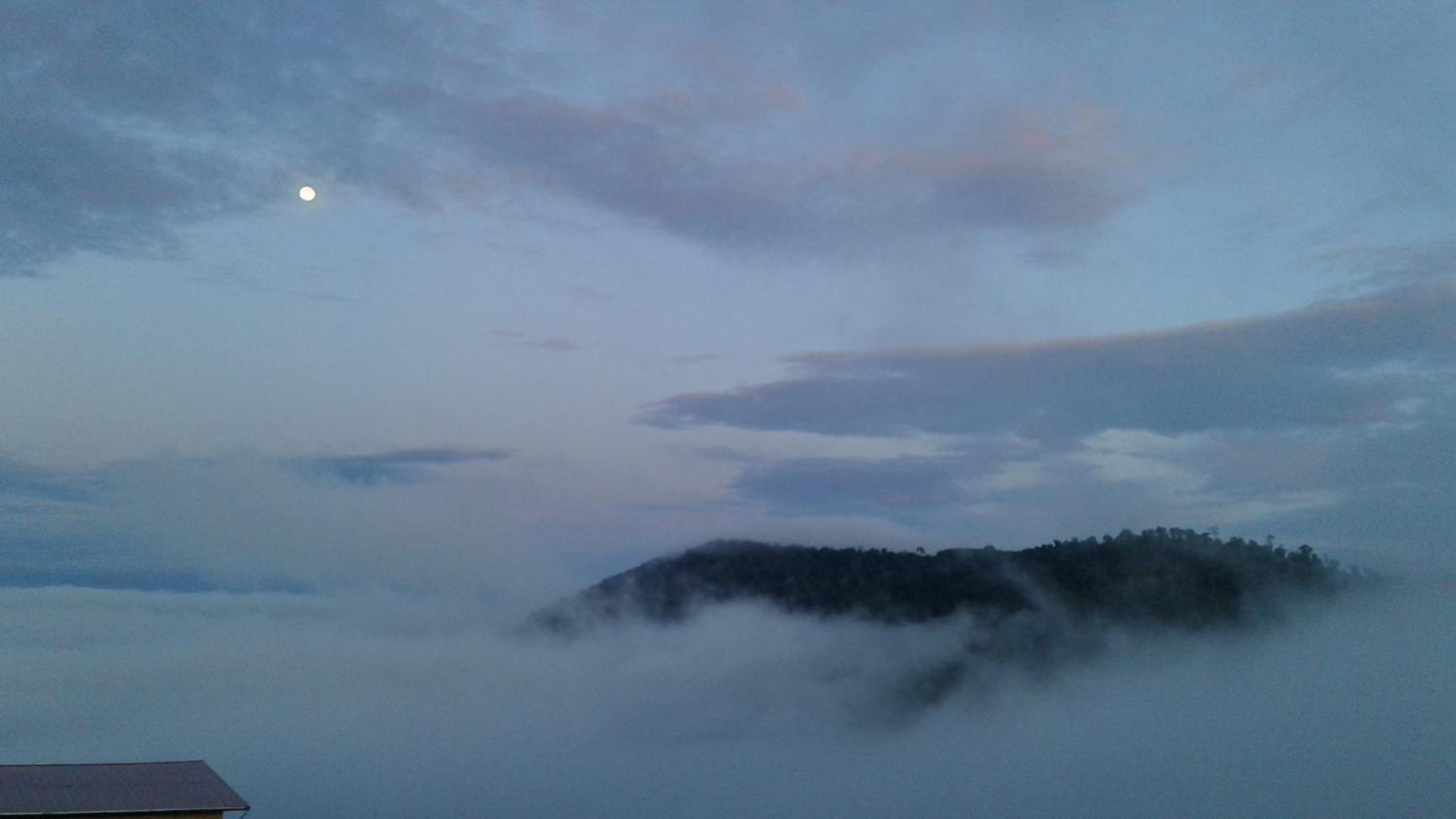 Khao Kho Tree Top