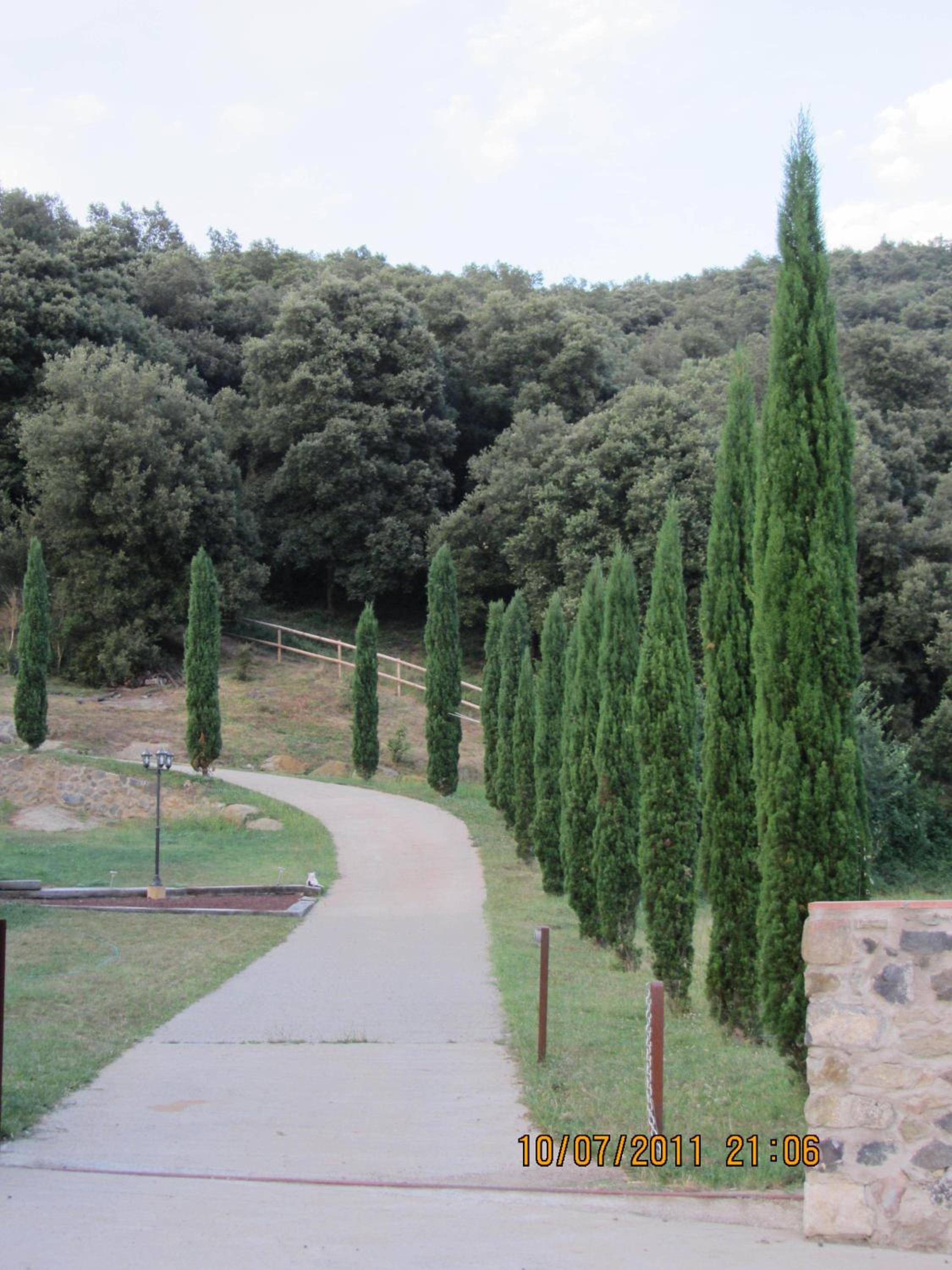 Photo 44