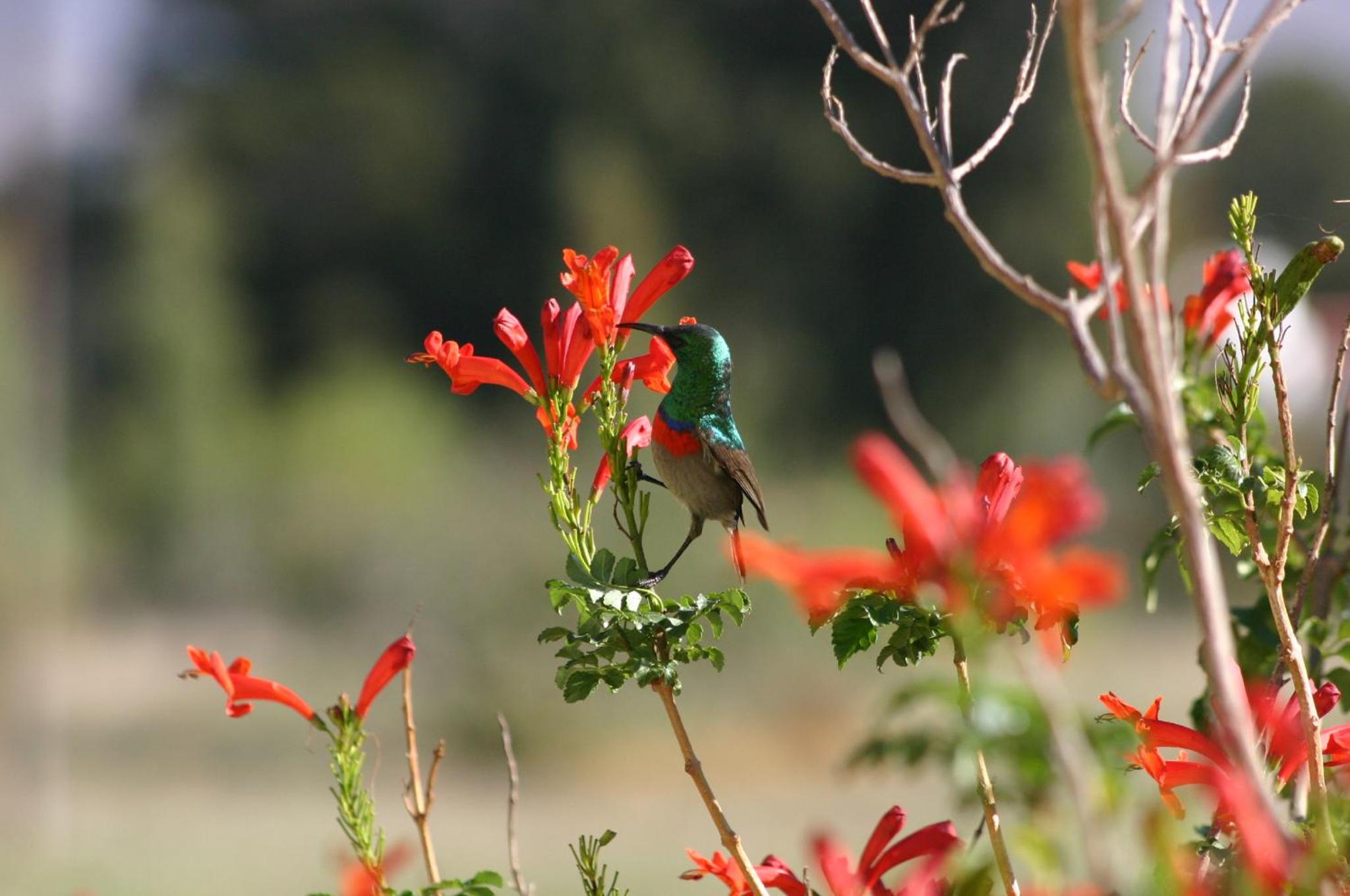 Photo 20