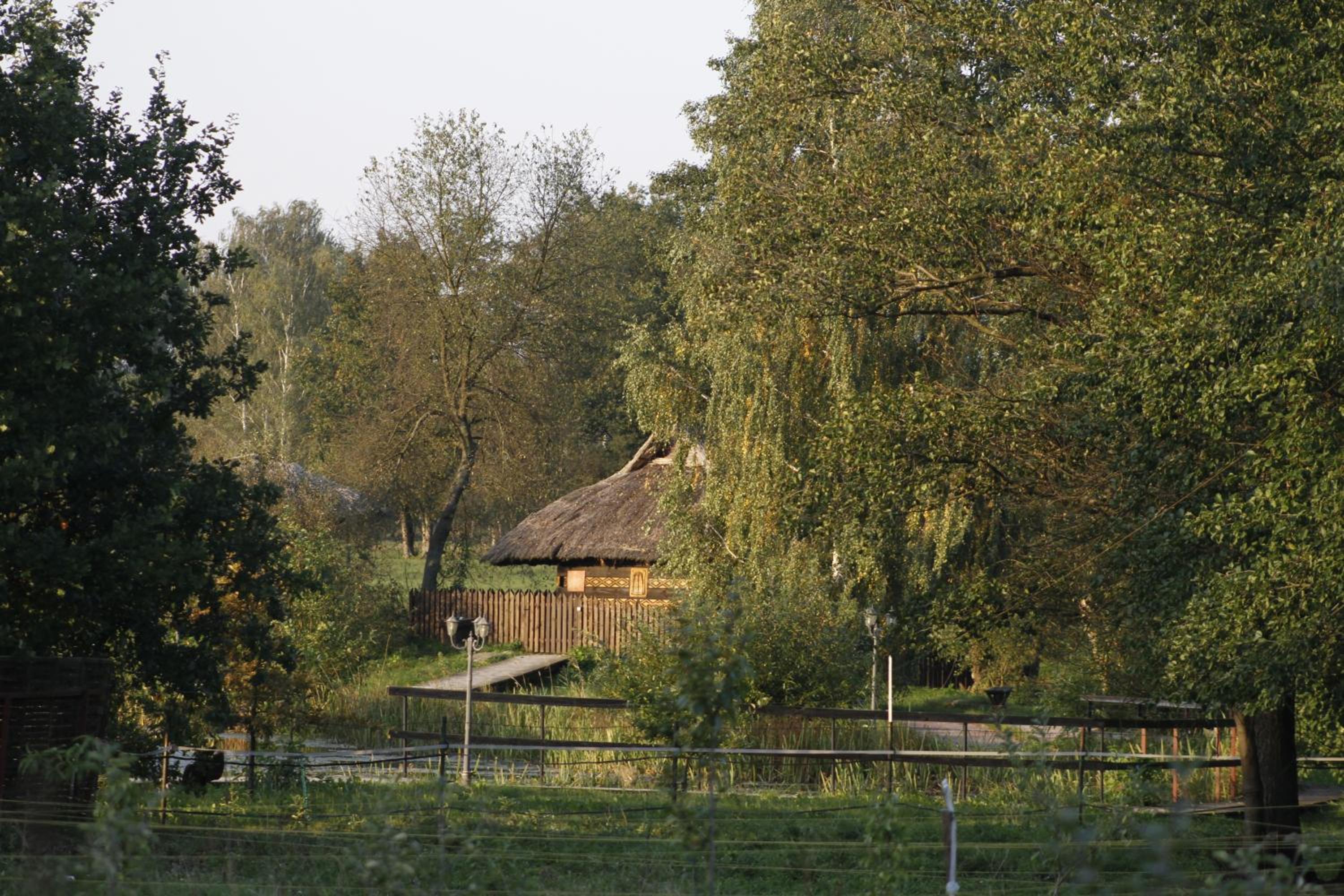 Photo 20