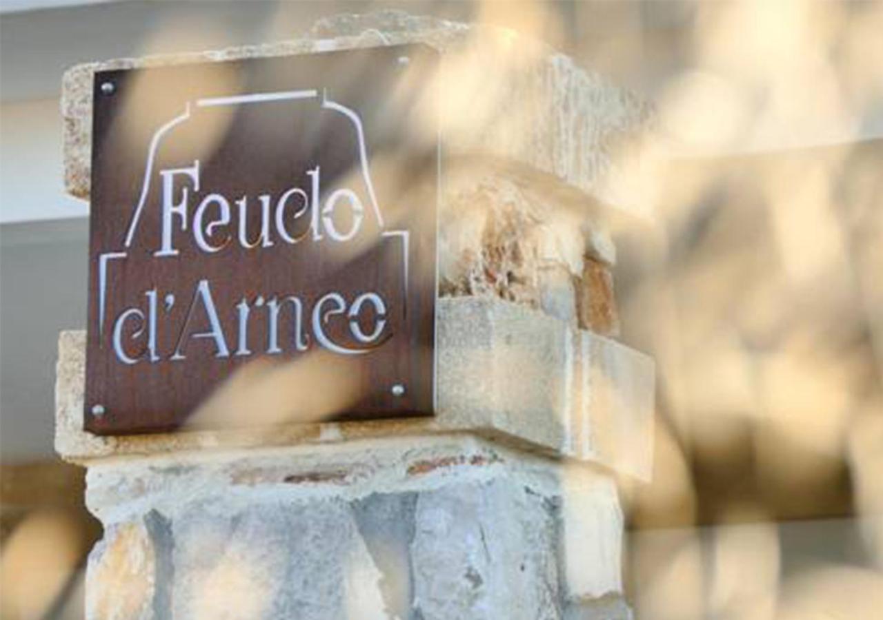 Feudo d'Arneo en Torre Lapillo — building