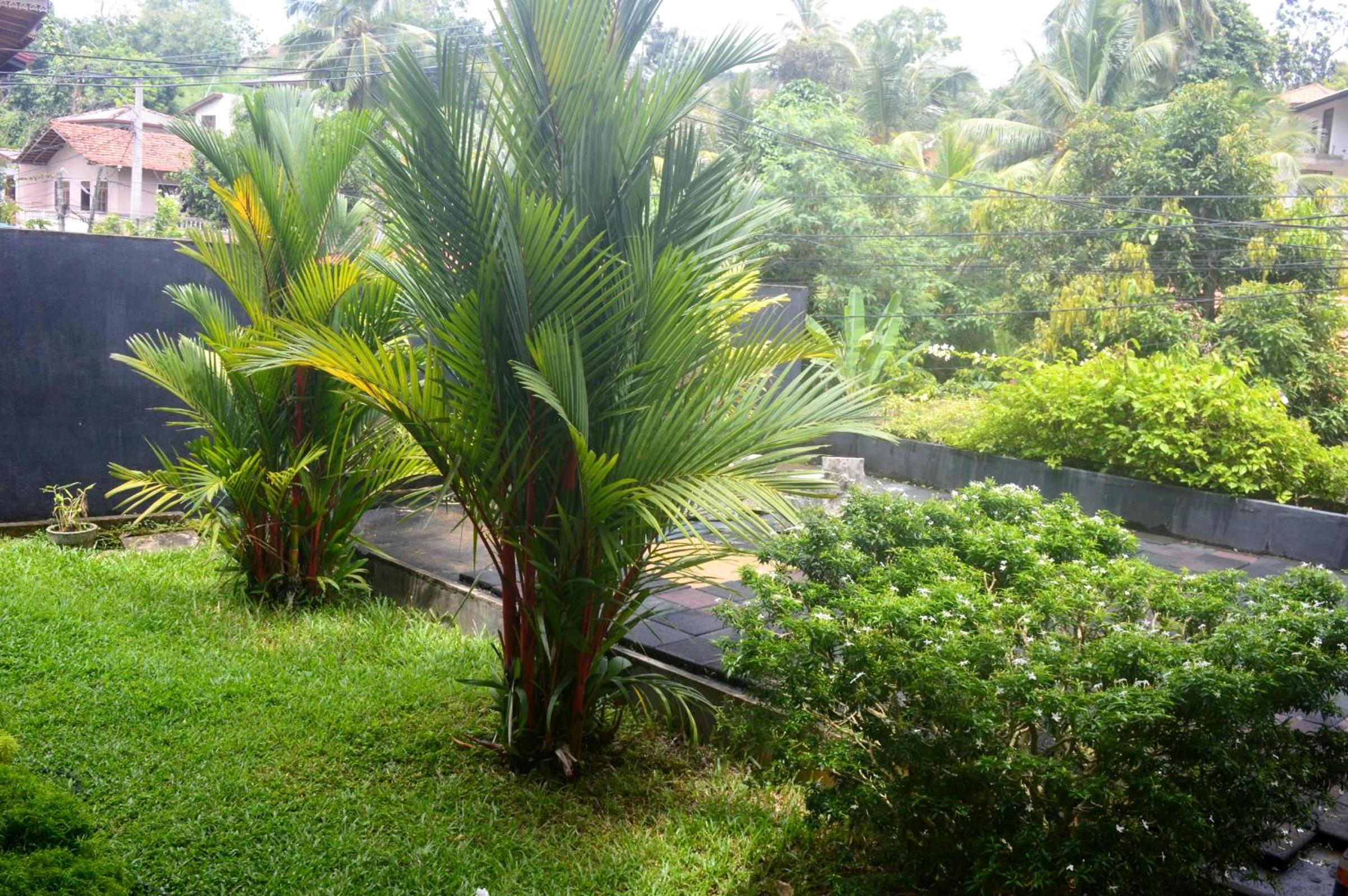 One C Hostel view 3