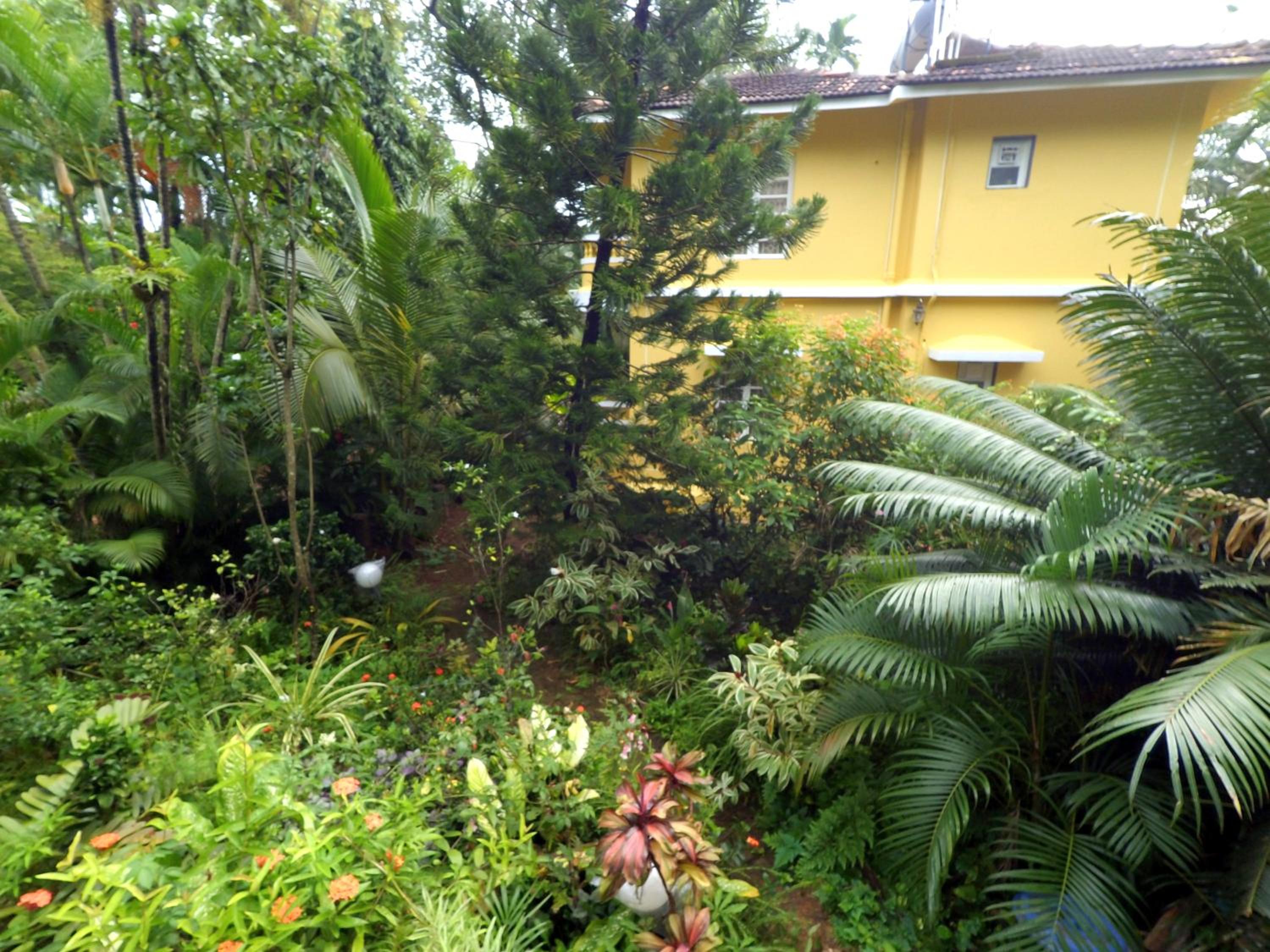 Photo 28