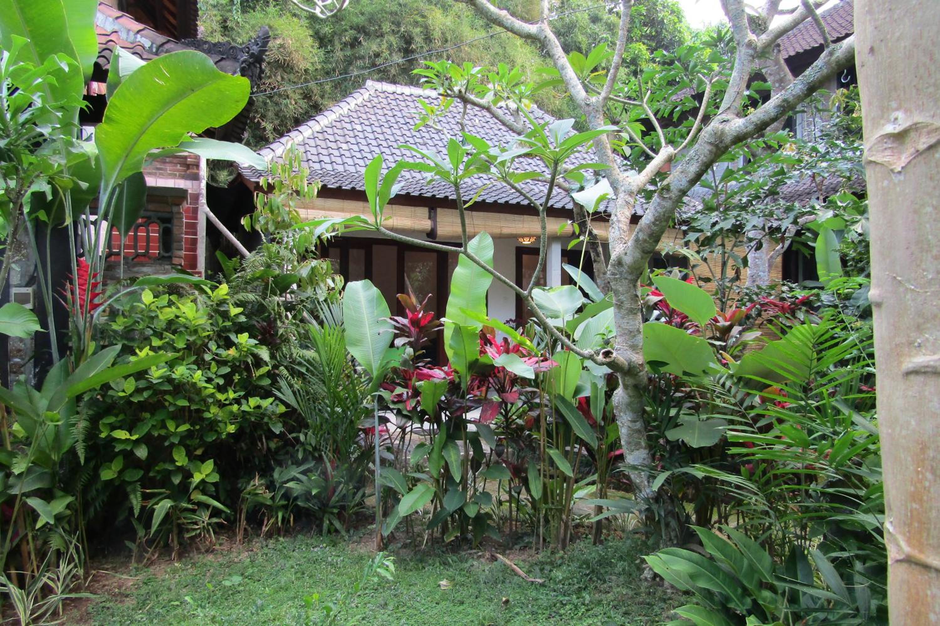Photo 42