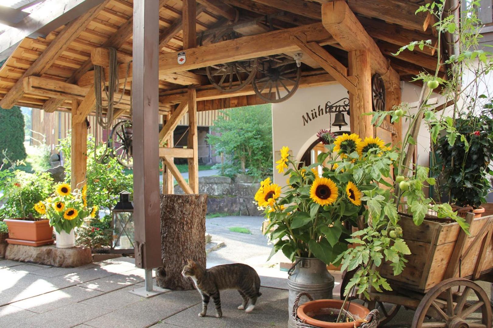 Landgasthof Untere Mühle