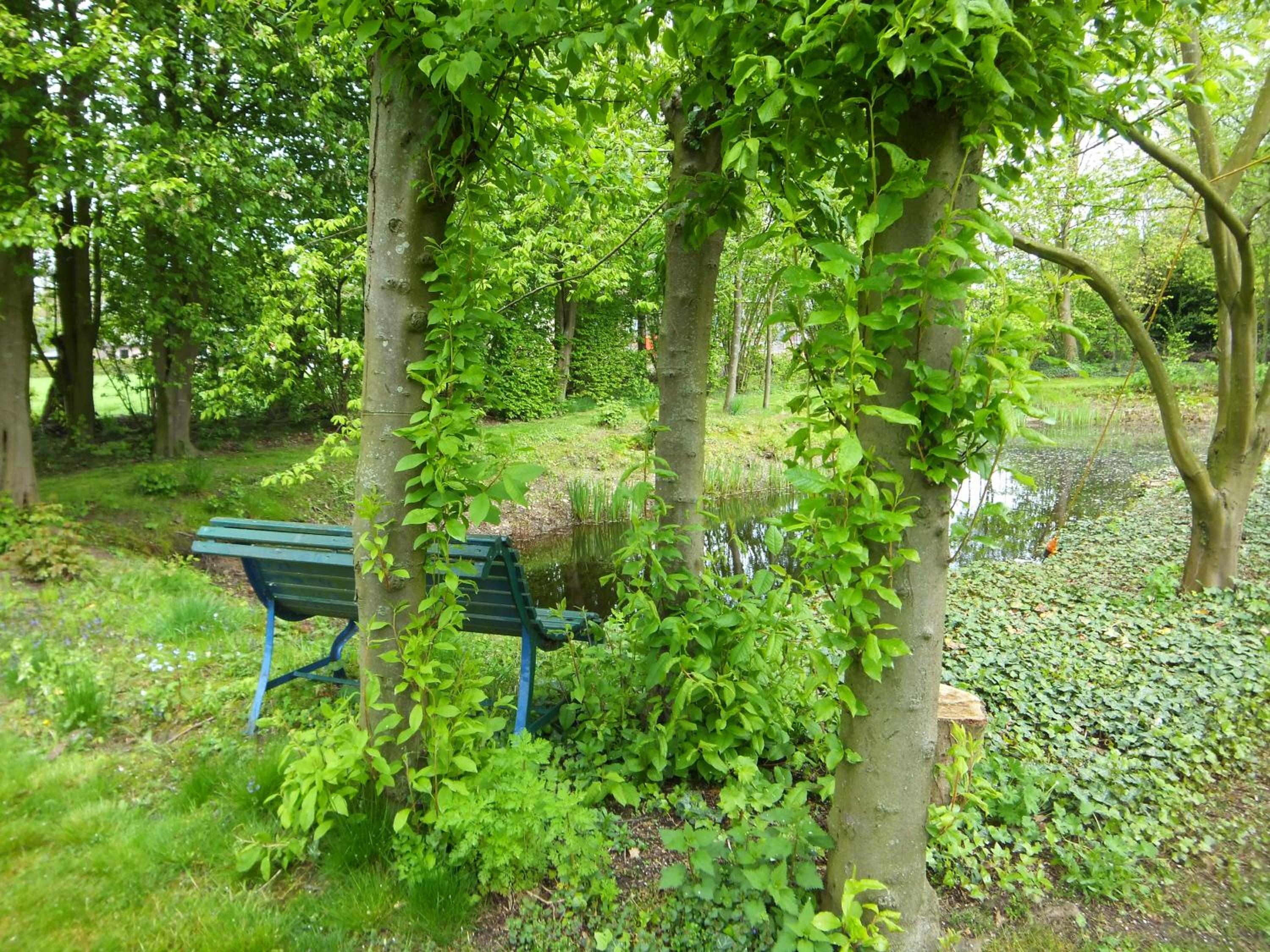 Photo 10