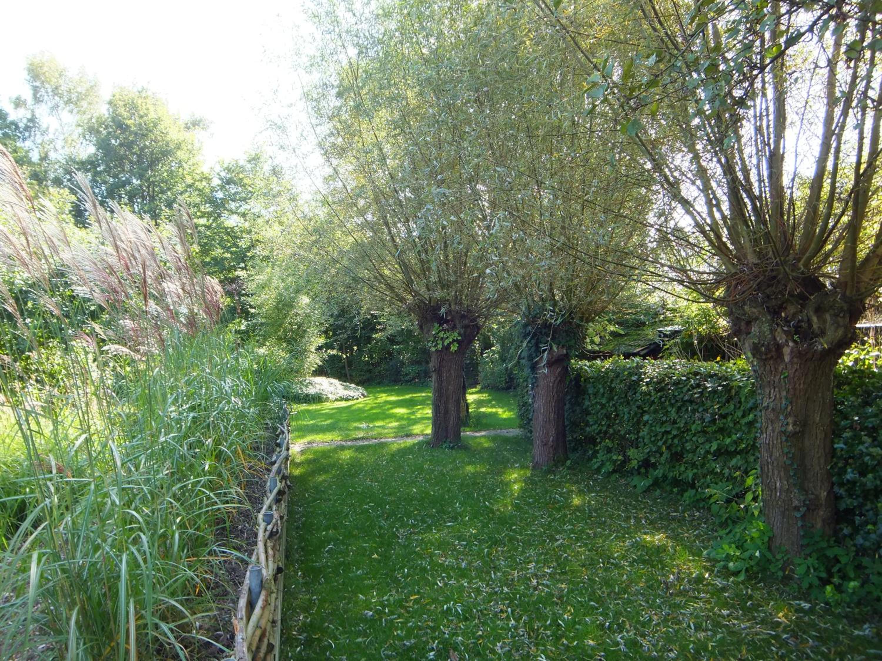 Photo 29