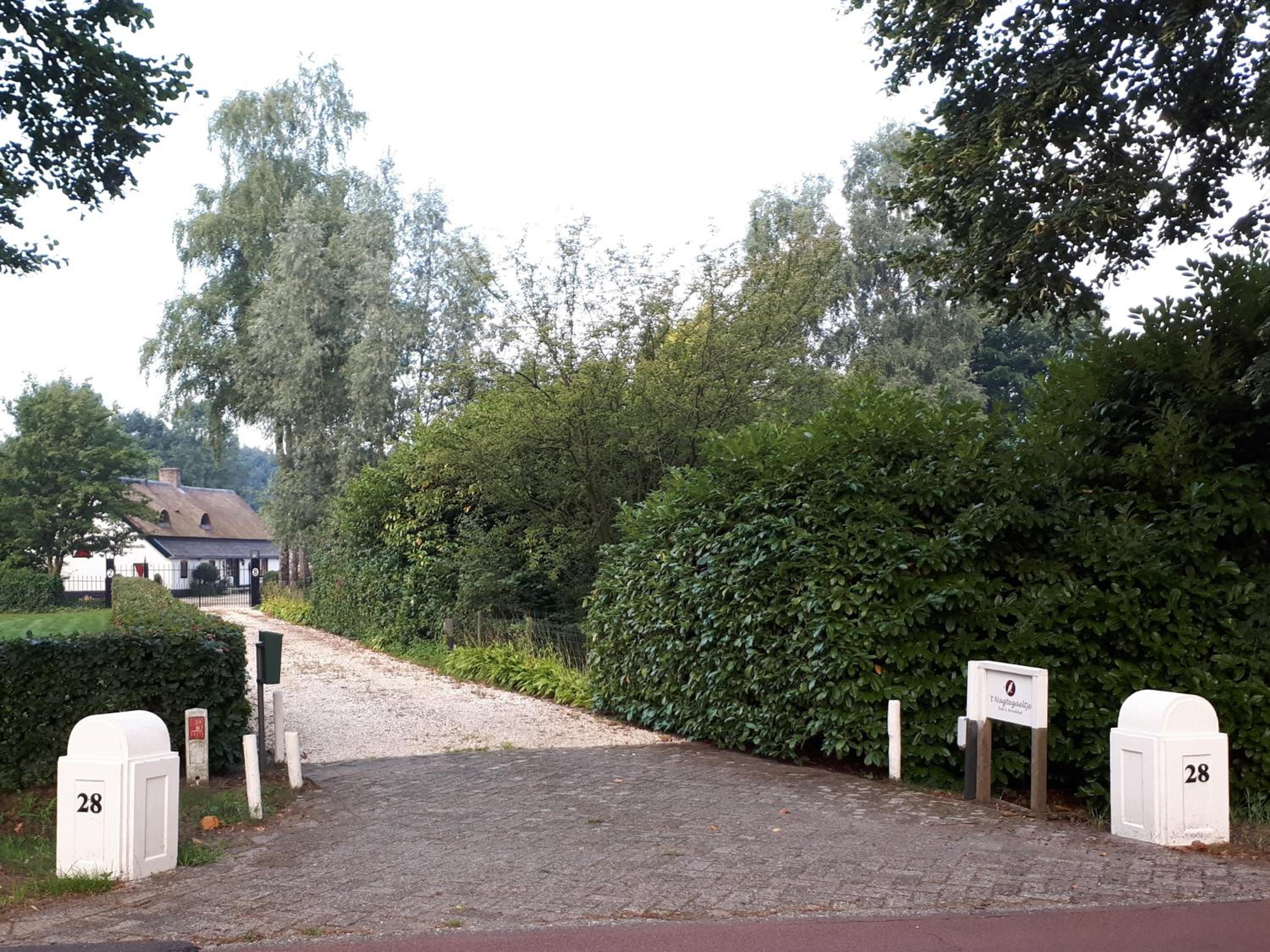 Photo 12
