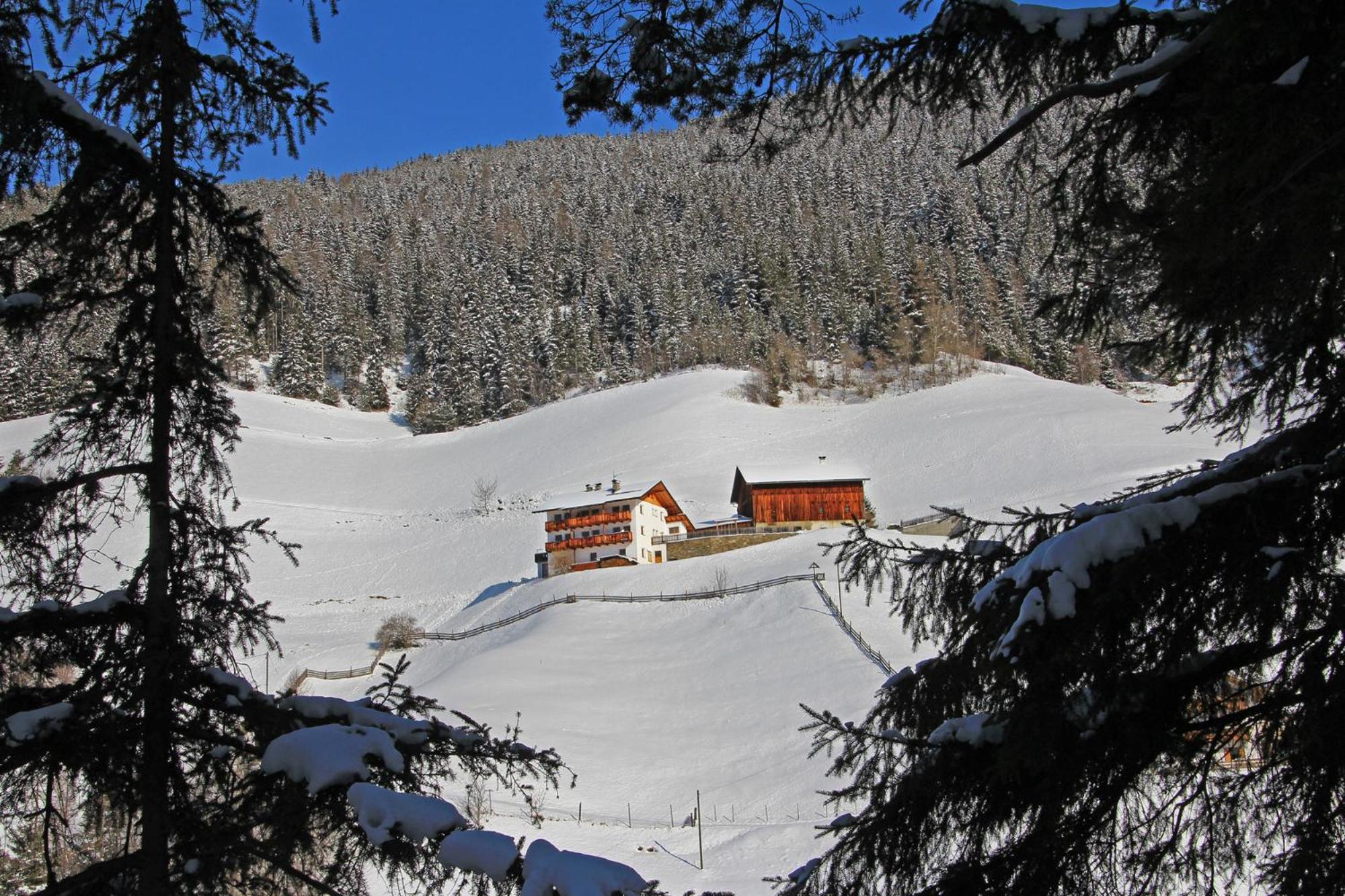 Photo 21