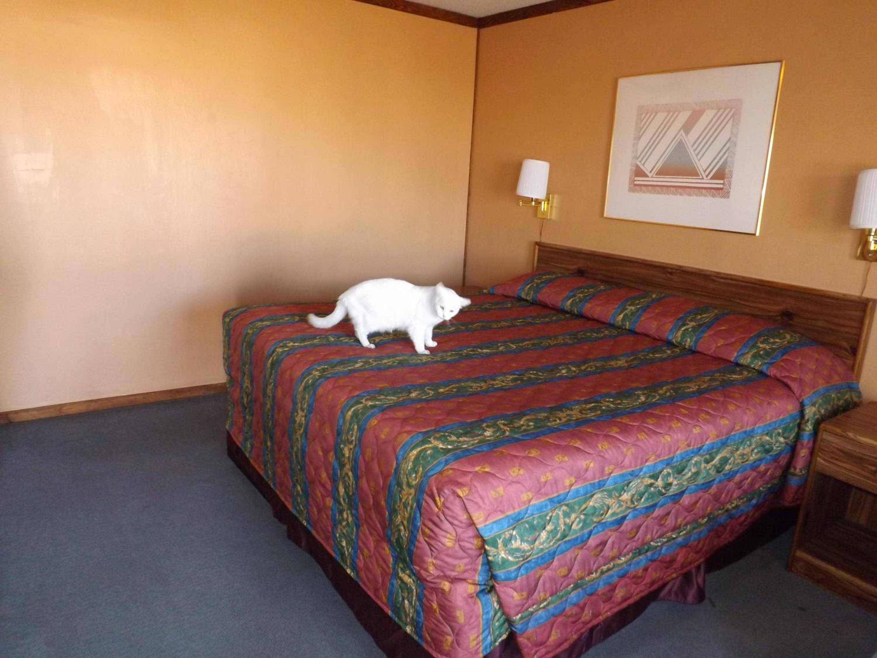 Tucumcari Vacations - Tristar Inn Xpress - Property Image 5